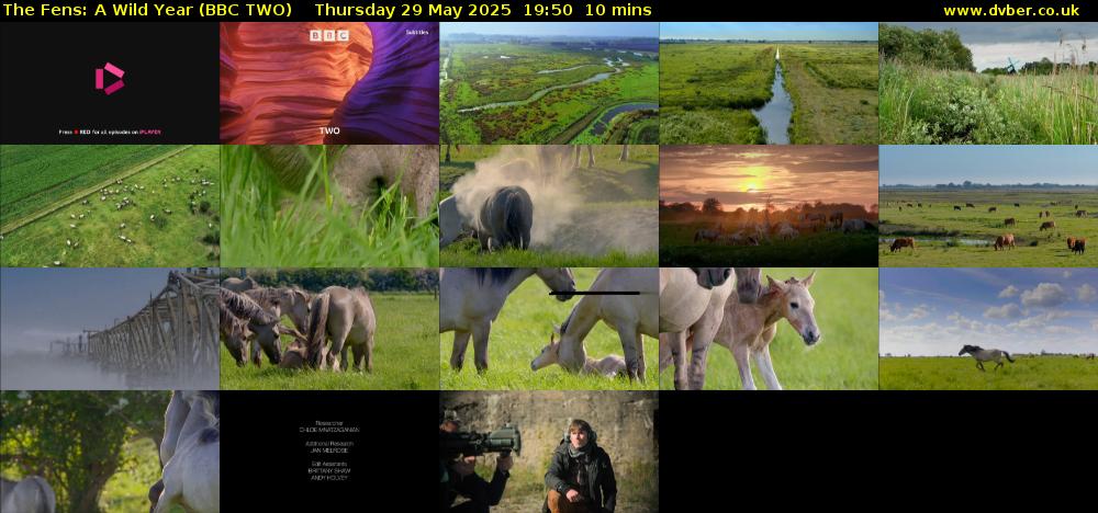 The Fens: A Wild Year (BBC TWO) Thursday 29 May 2025 19:50 - 20:00