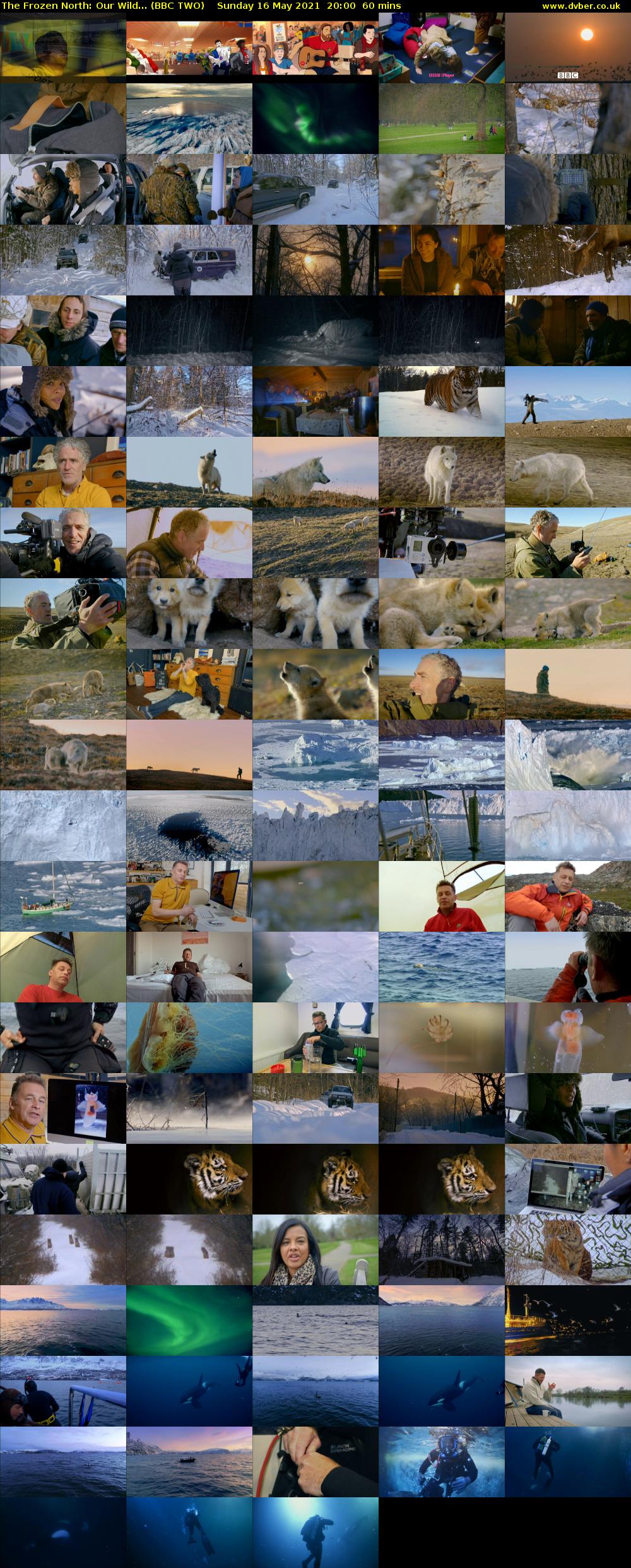 The Frozen North: Our Wild... (BBC TWO) Sunday 16 May 2021 20:00 - 21:00