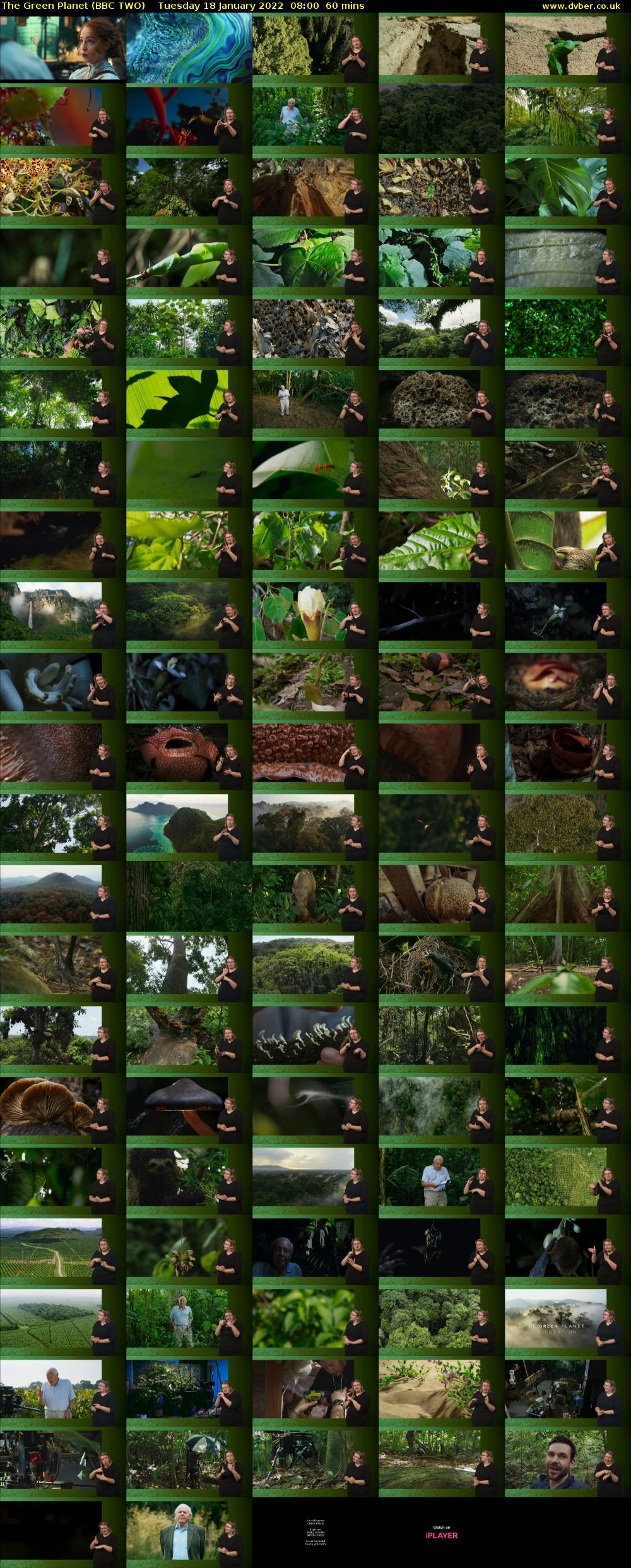 The Green Planet (BBC TWO) Tuesday 18 January 2022 08:00 - 09:00