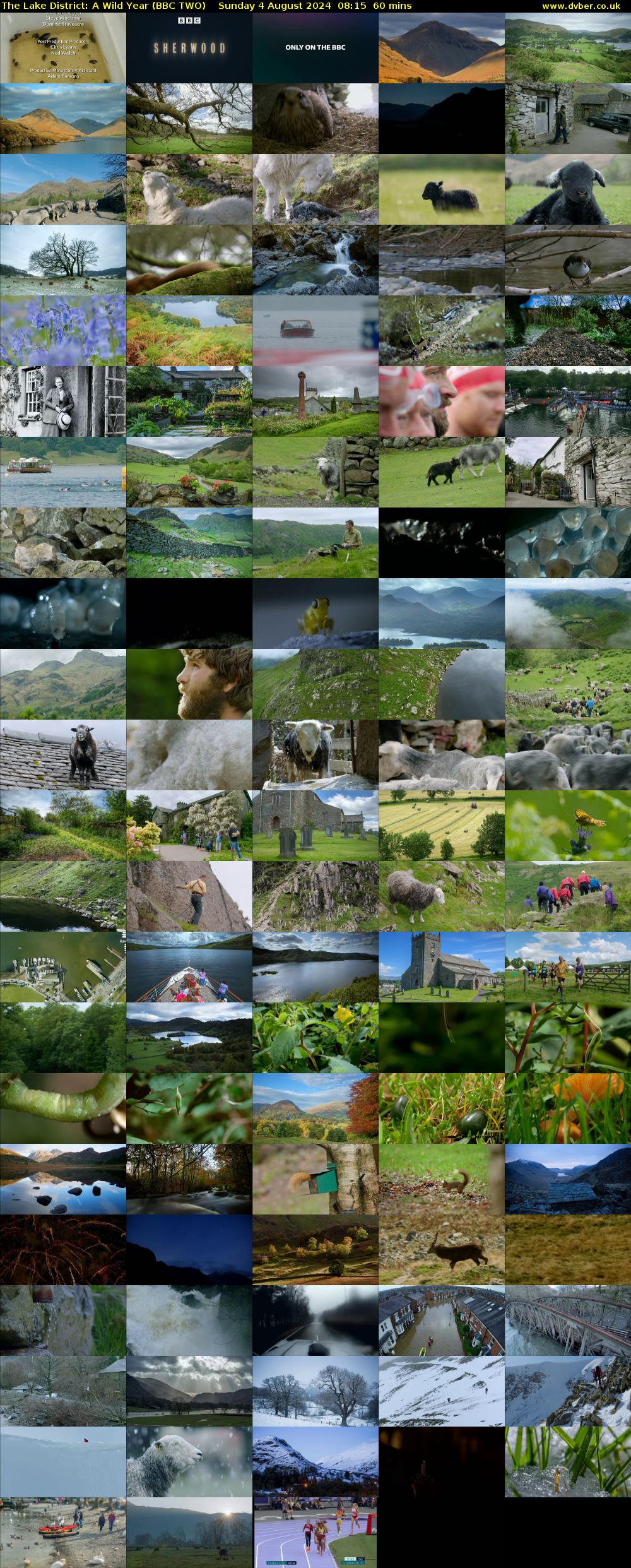 The Lake District: A Wild Year (BBC TWO) Sunday 4 August 2024 08:15 - 09:15