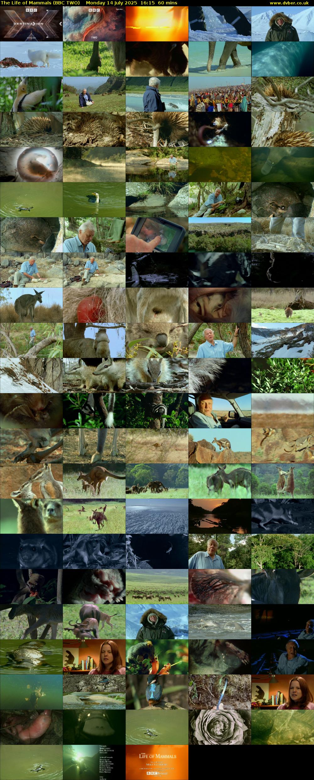 The Life of Mammals (BBC TWO) Monday 14 July 2025 16:15 - 17:15