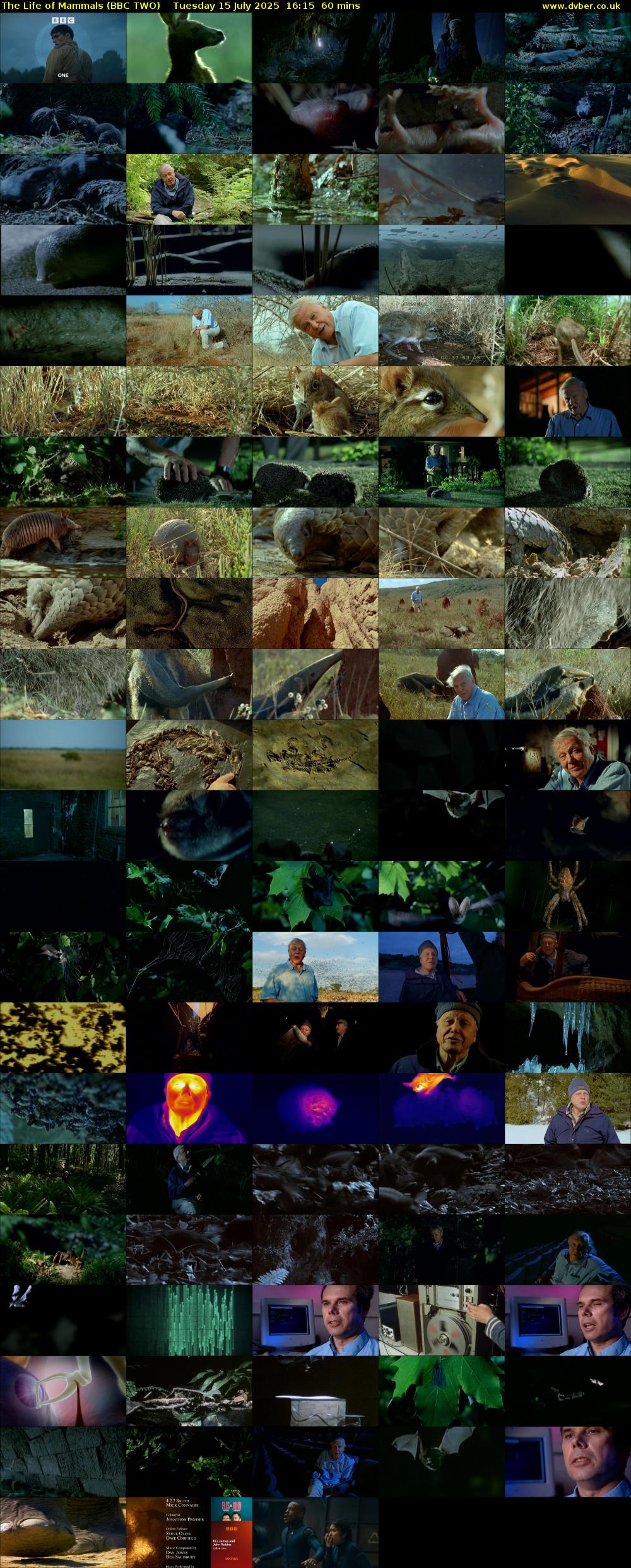 The Life of Mammals (BBC TWO) Tuesday 15 July 2025 16:15 - 17:15