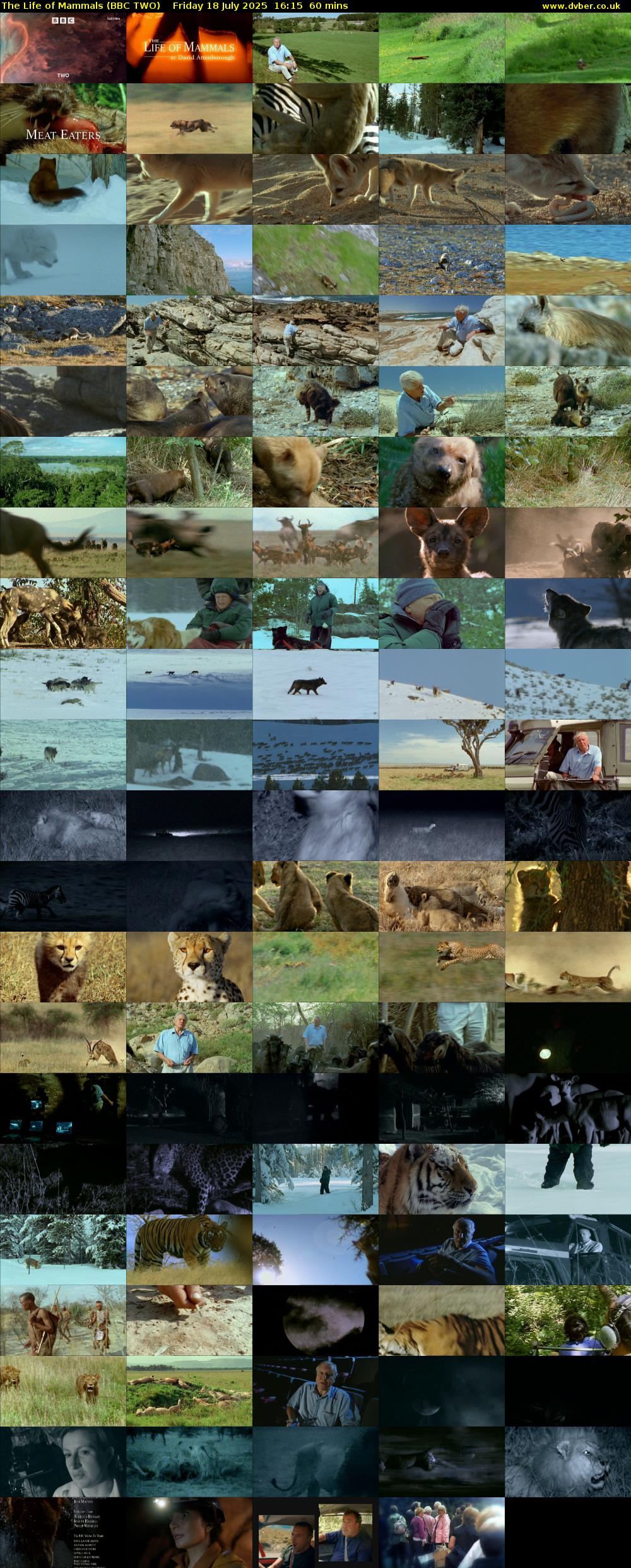 The Life of Mammals (BBC TWO) Friday 18 July 2025 16:15 - 17:15
