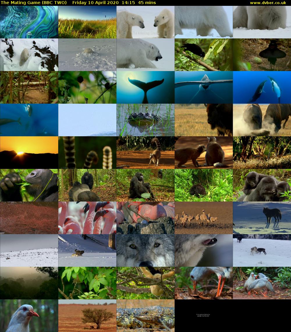 The Mating Game (BBC TWO) Friday 10 April 2020 14:15 - 15:00