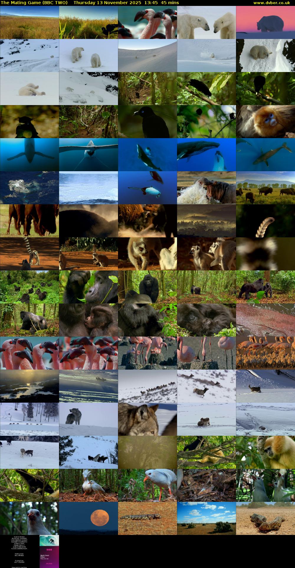 The Mating Game (BBC TWO) Thursday 13 November 2025 13:45 - 14:30