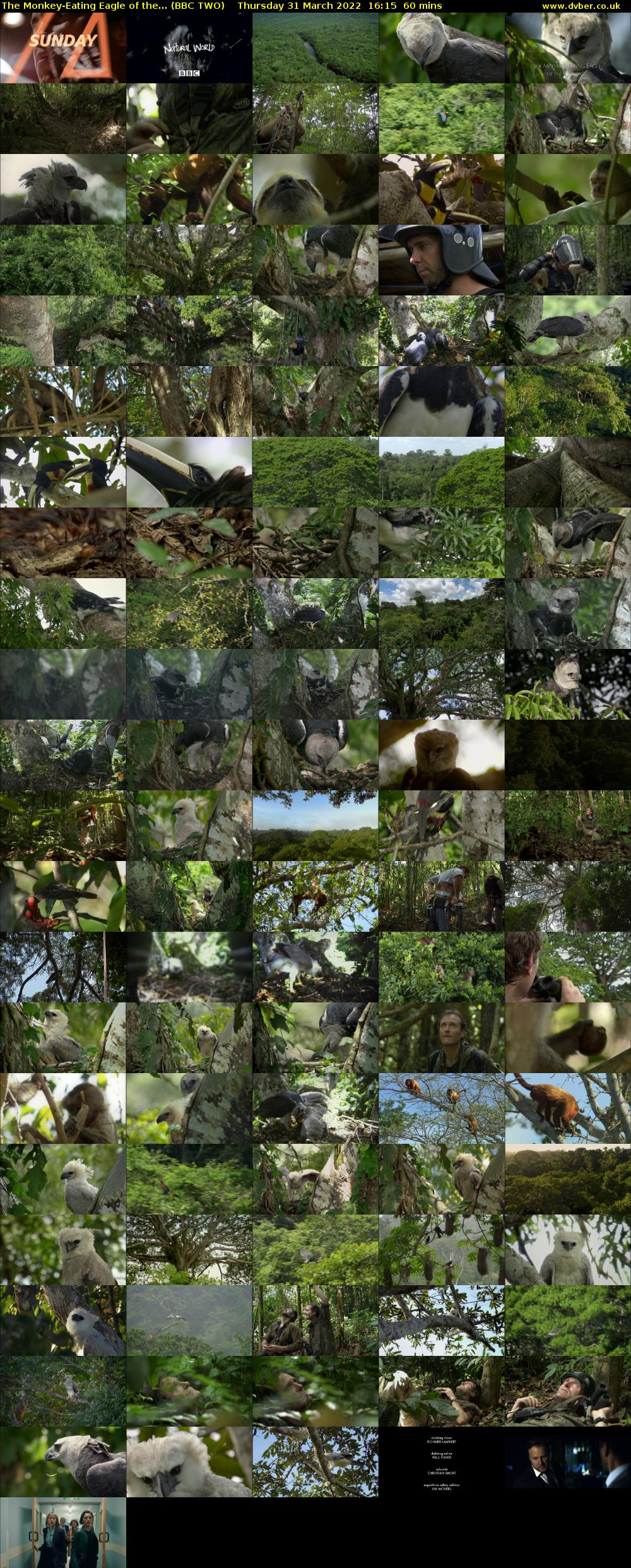 The Monkey-Eating Eagle of the... (BBC TWO) Thursday 31 March 2022 16:15 - 17:15