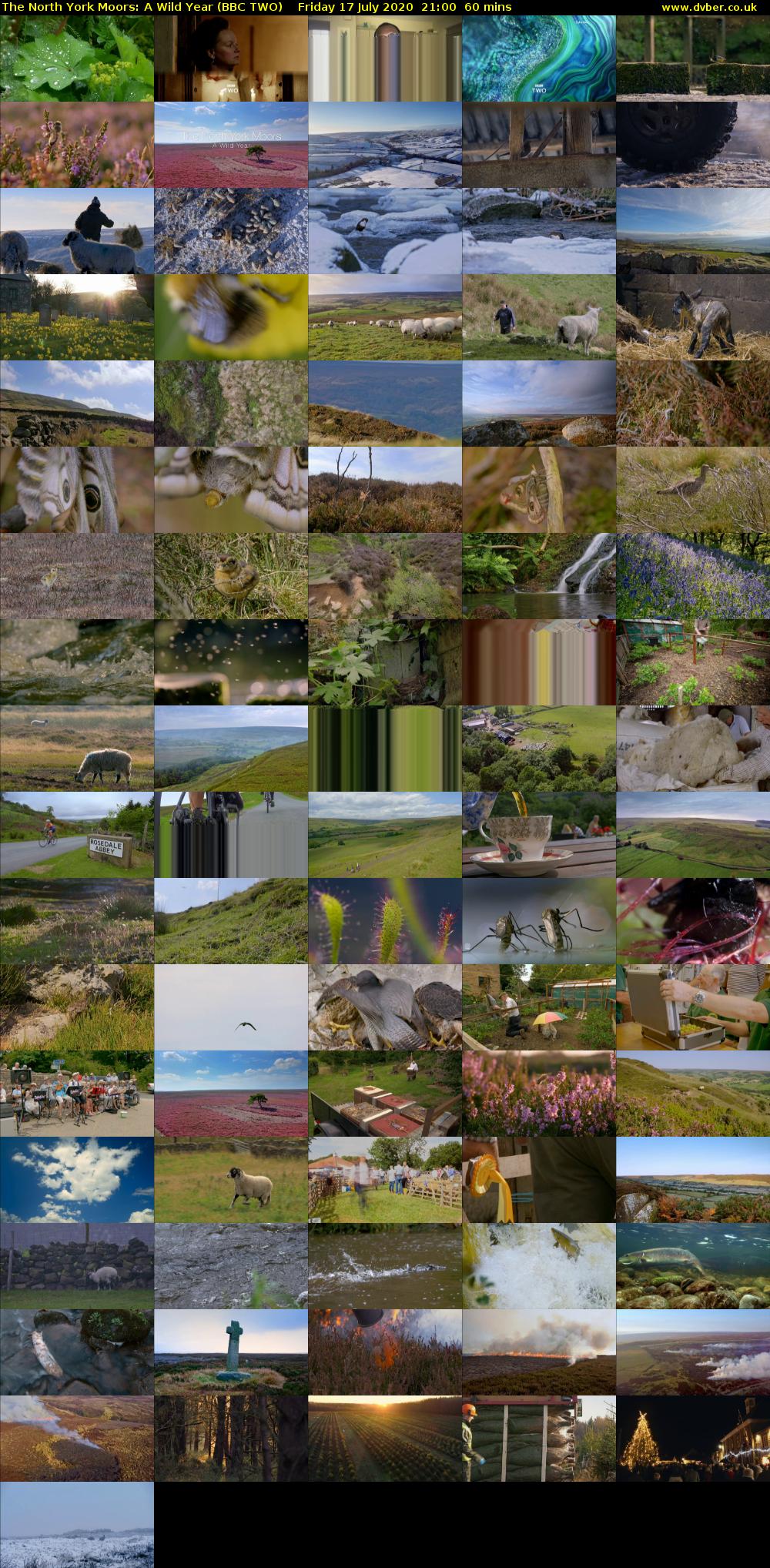 The North York Moors: A Wild Year (BBC TWO) Friday 17 July 2020 21:00 - 22:00