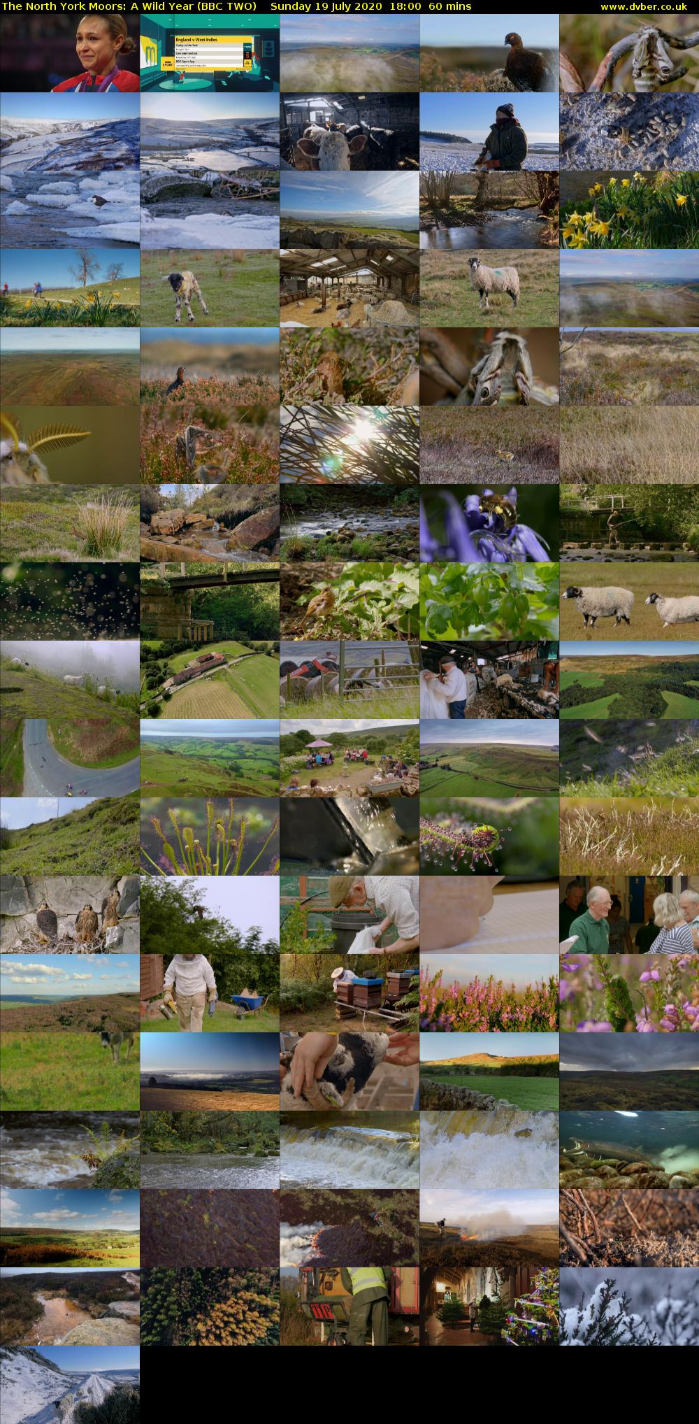 The North York Moors: A Wild Year (BBC TWO) Sunday 19 July 2020 18:00 - 19:00