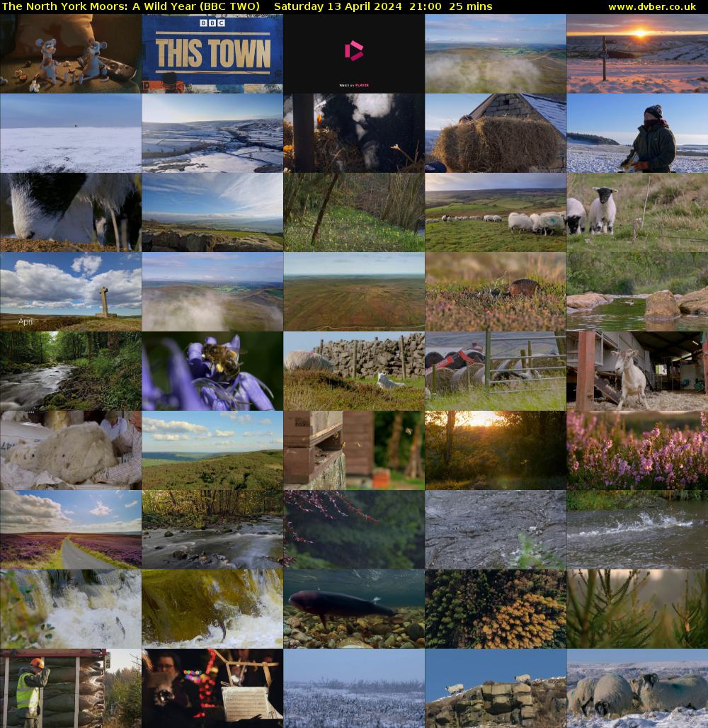 The North York Moors: A Wild Year (BBC TWO) Saturday 13 April 2024 21:00 - 21:25