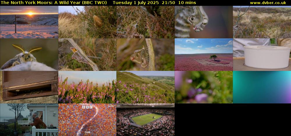 The North York Moors: A Wild Year (BBC TWO) Tuesday 1 July 2025 21:50 - 22:00