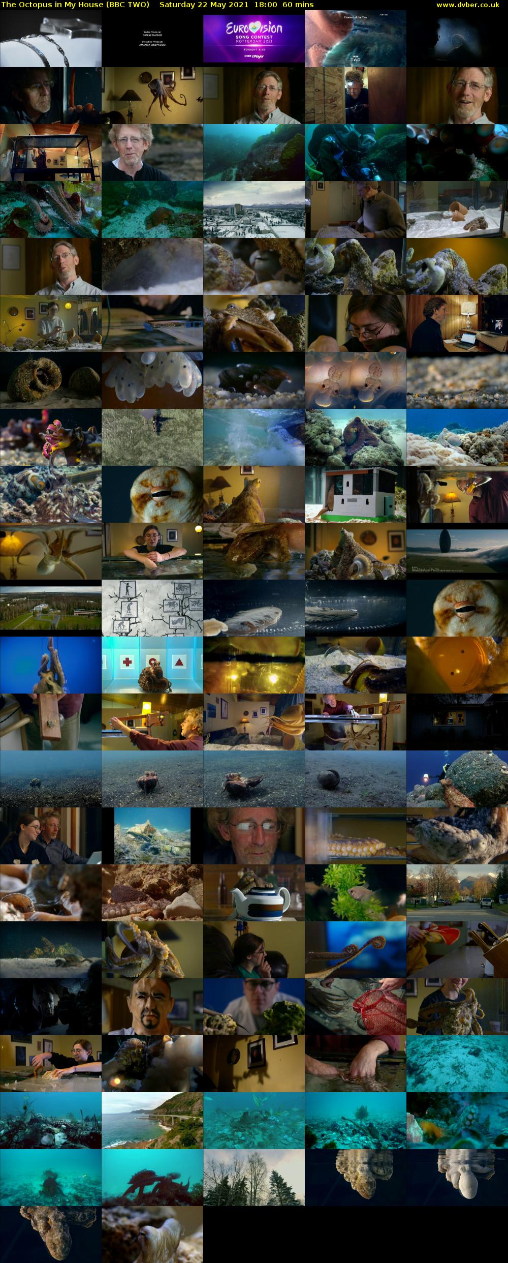 The Octopus in My House (BBC TWO) Saturday 22 May 2021 18:00 - 19:00