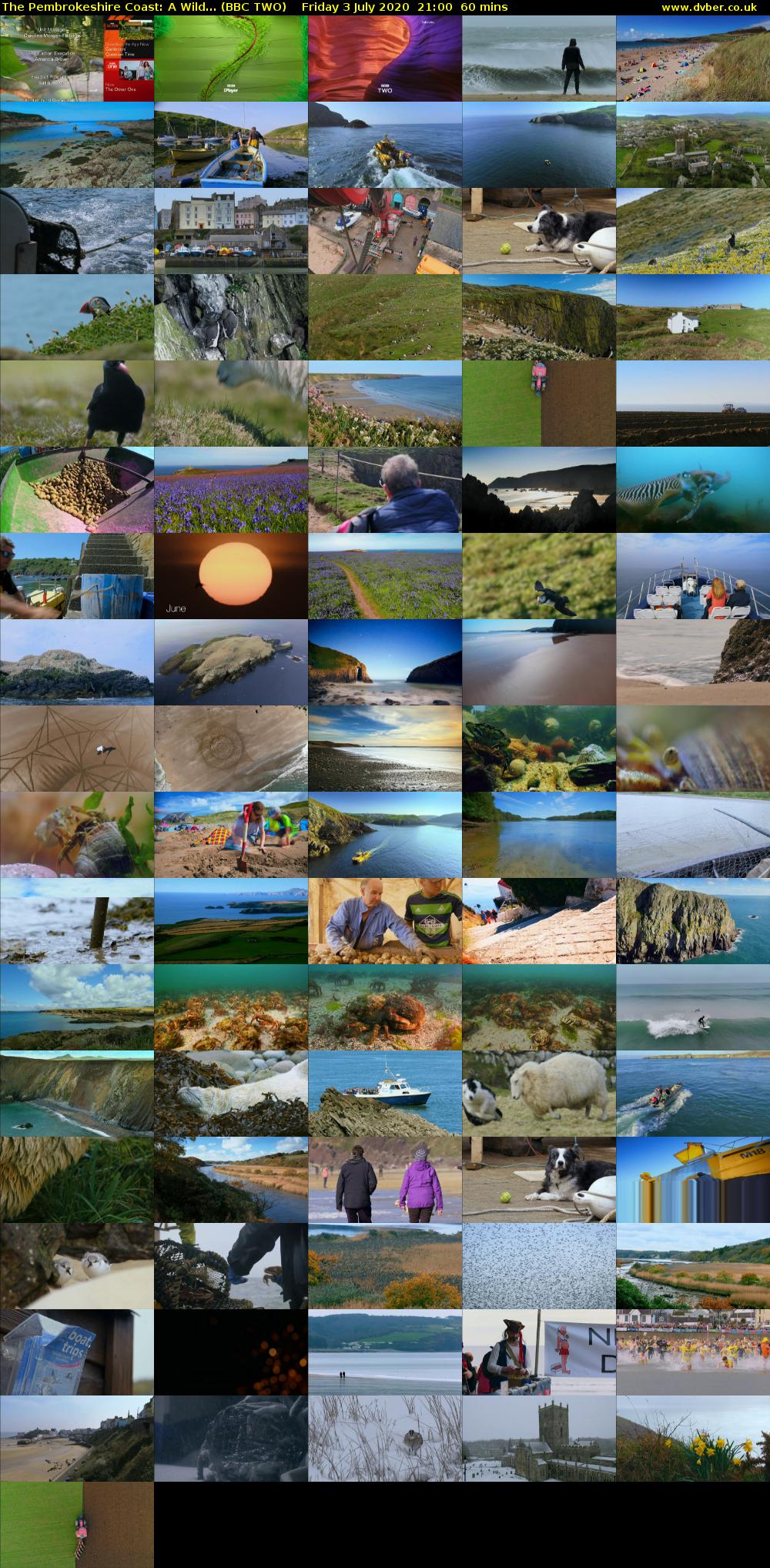 The Pembrokeshire Coast: A Wild... (BBC TWO) Friday 3 July 2020 21:00 - 22:00