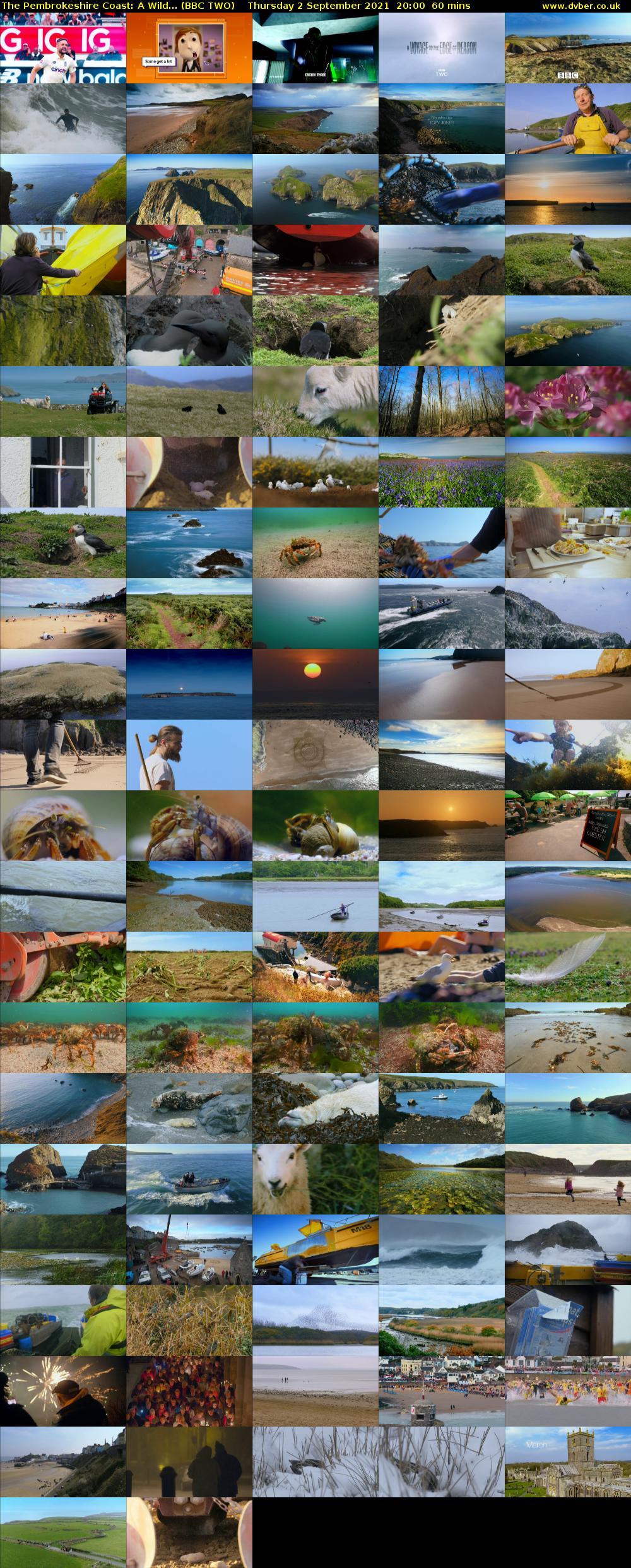 The Pembrokeshire Coast: A Wild... (BBC TWO) Thursday 2 September 2021 20:00 - 21:00