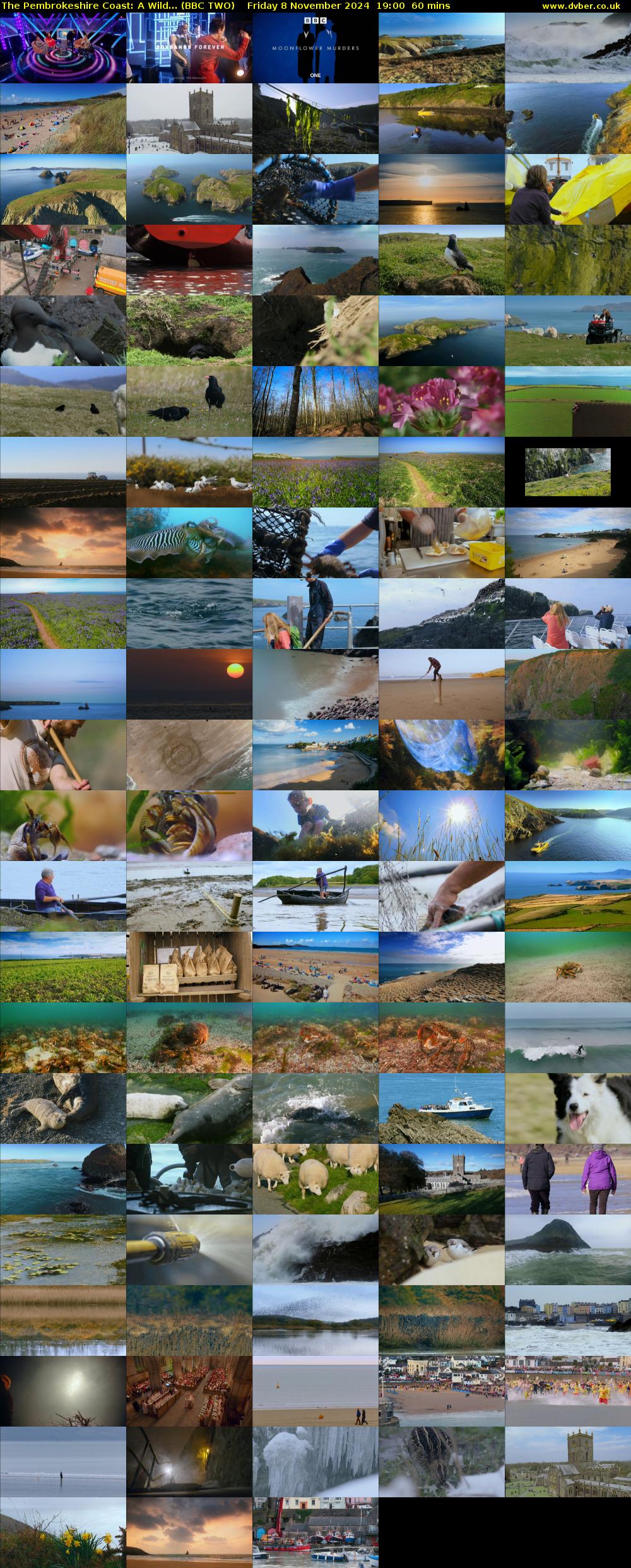 The Pembrokeshire Coast: A Wild... (BBC TWO) Friday 8 November 2024 19:00 - 20:00