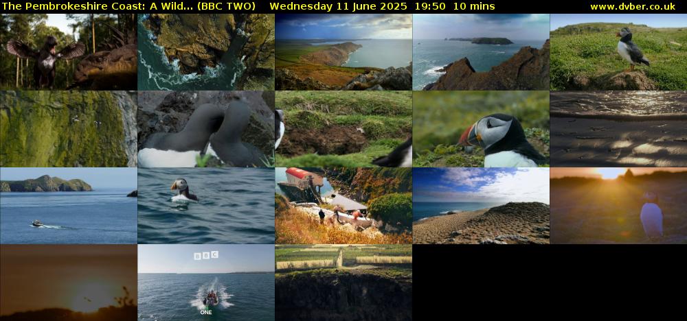 The Pembrokeshire Coast: A Wild... (BBC TWO) Wednesday 11 June 2025 19:50 - 20:00