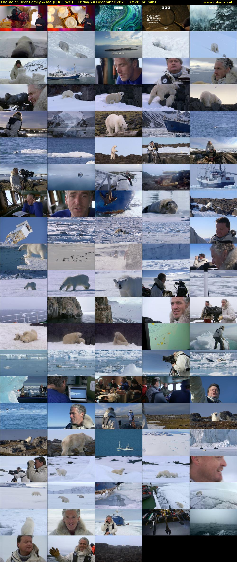 The Polar Bear Family & Me (BBC TWO) Friday 24 December 2021 07:20 - 08:20