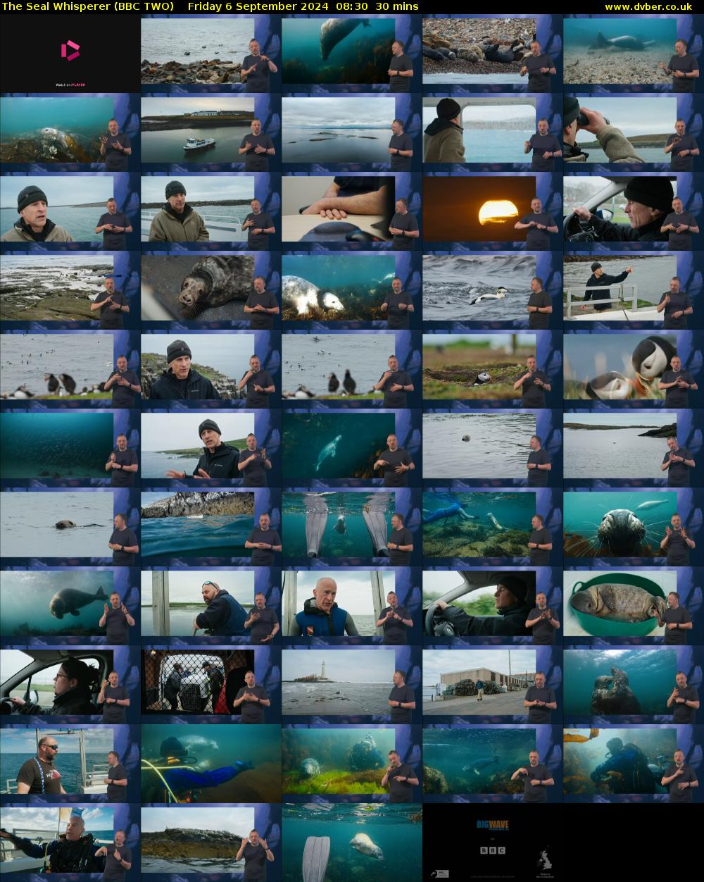 The Seal Whisperer (BBC TWO) Friday 6 September 2024 08:30 - 09:00