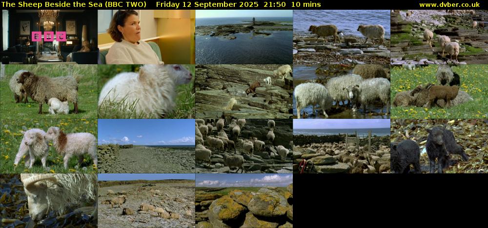 The Sheep Beside the Sea (BBC TWO) Friday 12 September 2025 21:50 - 22:00
