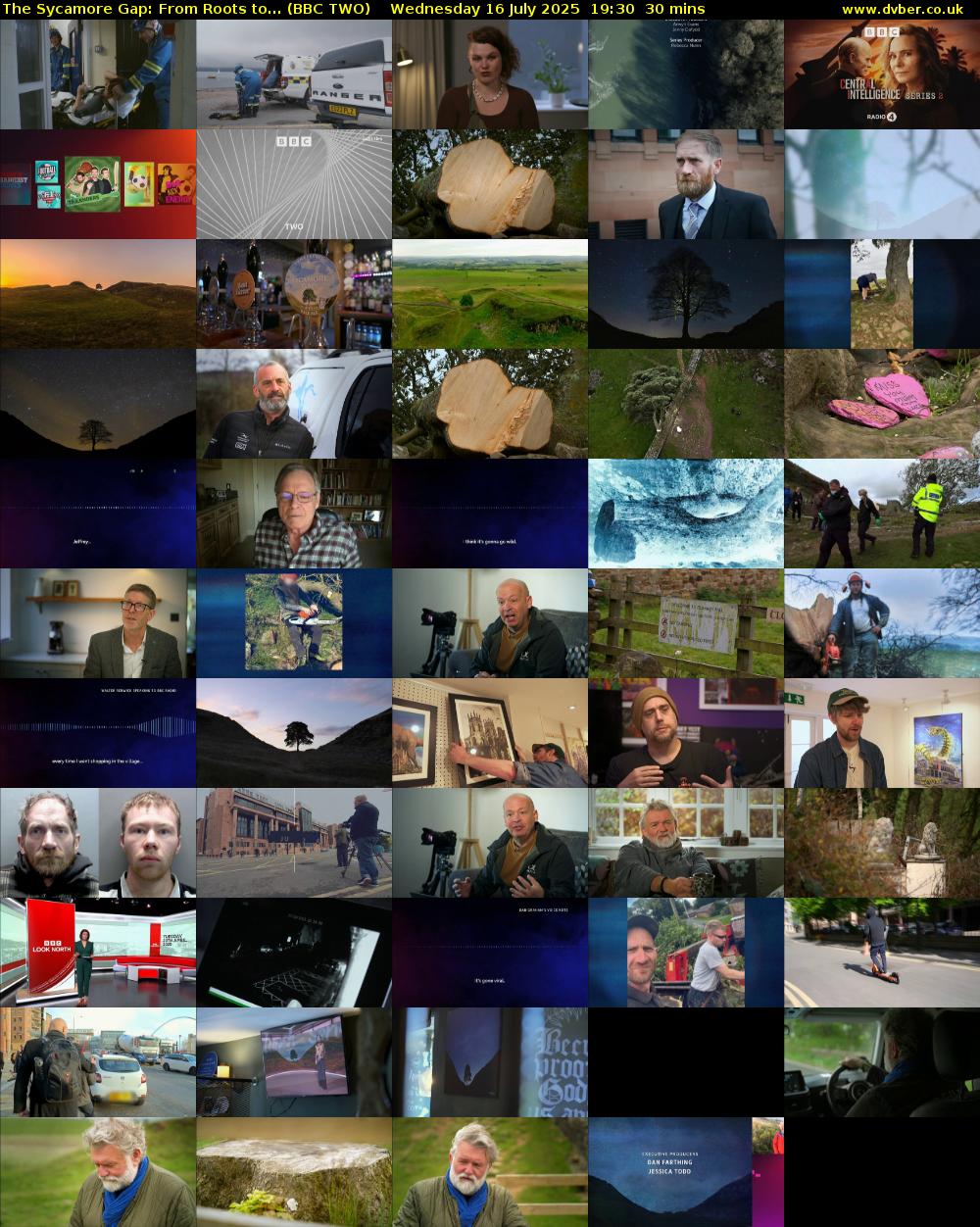 The Sycamore Gap: From Roots to... (BBC TWO) Wednesday 16 July 2025 19:30 - 20:00