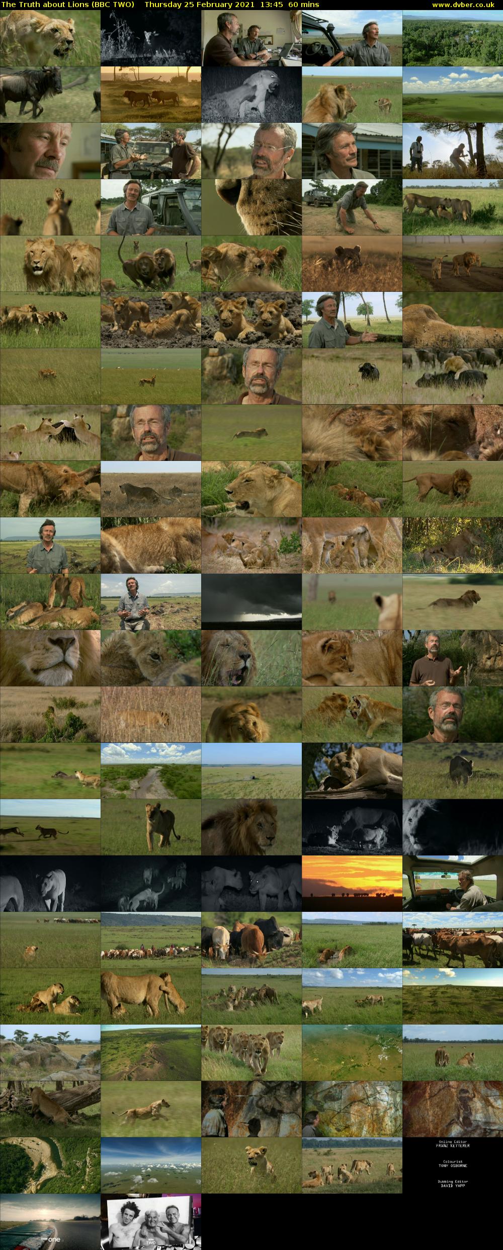 The Truth about Lions (BBC TWO) Thursday 25 February 2021 13:45 - 14:45