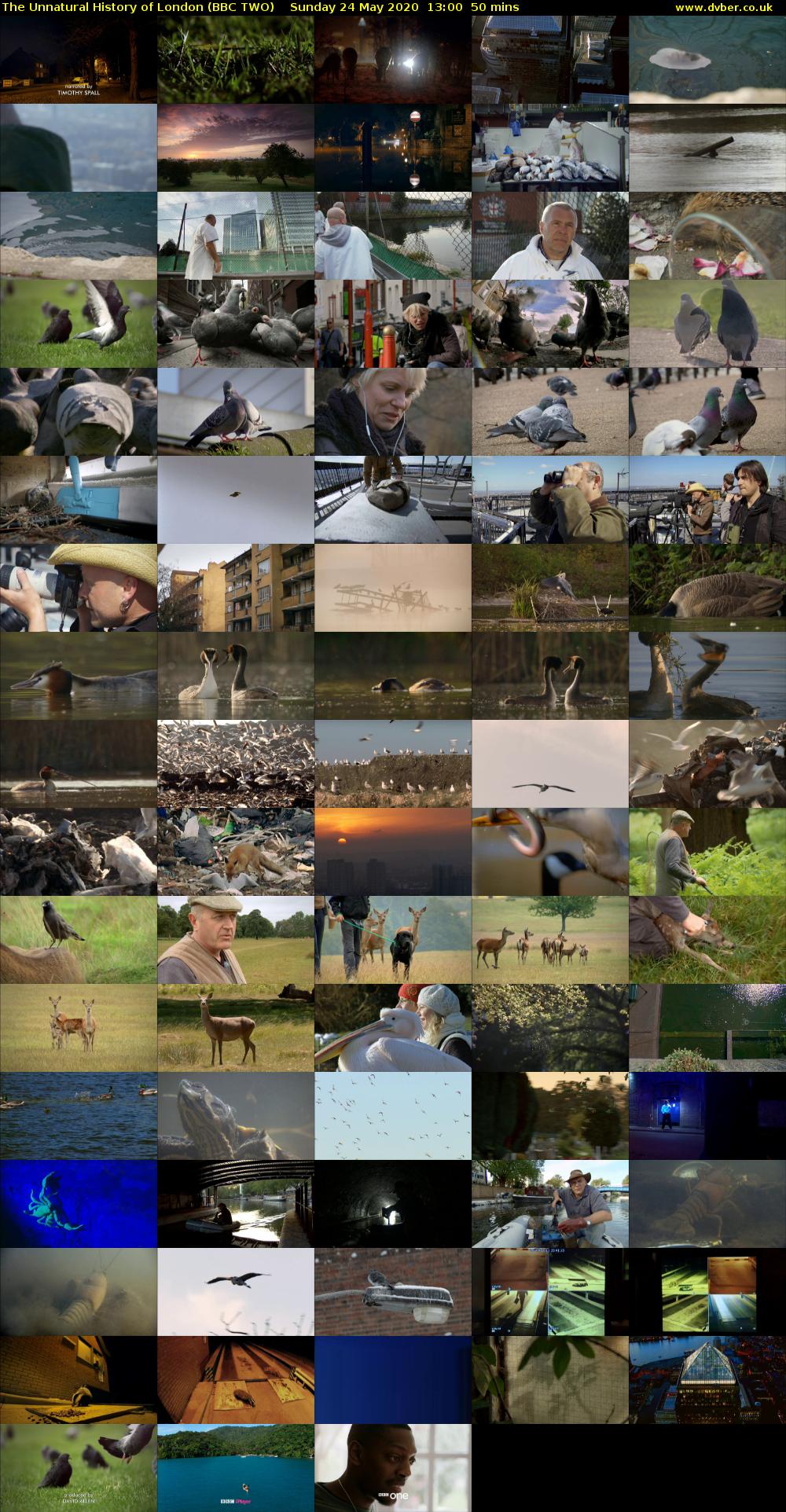 The Unnatural History of London (BBC TWO) Sunday 24 May 2020 13:00 - 13:50