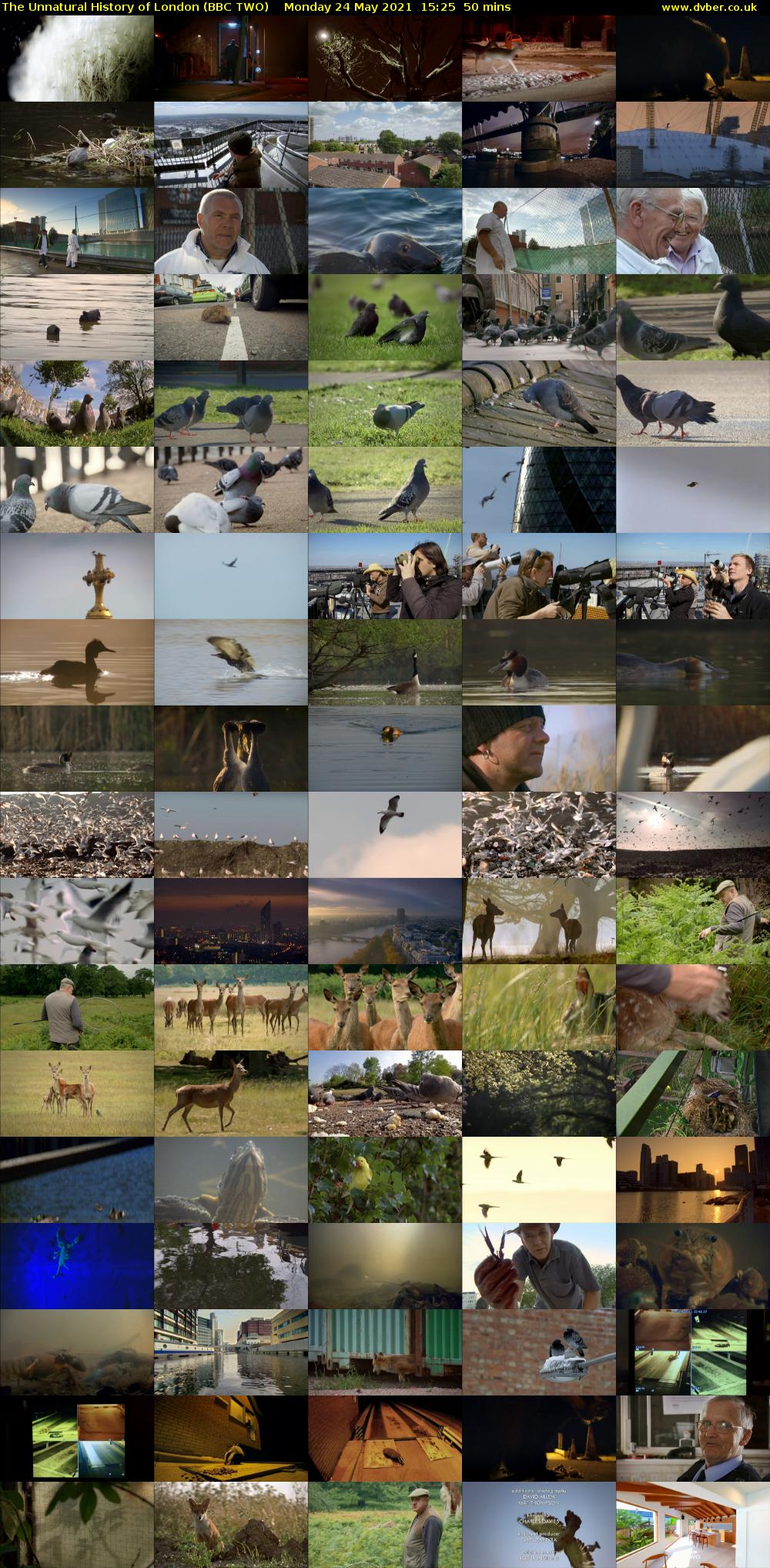 The Unnatural History of London (BBC TWO) Monday 24 May 2021 15:25 - 16:15