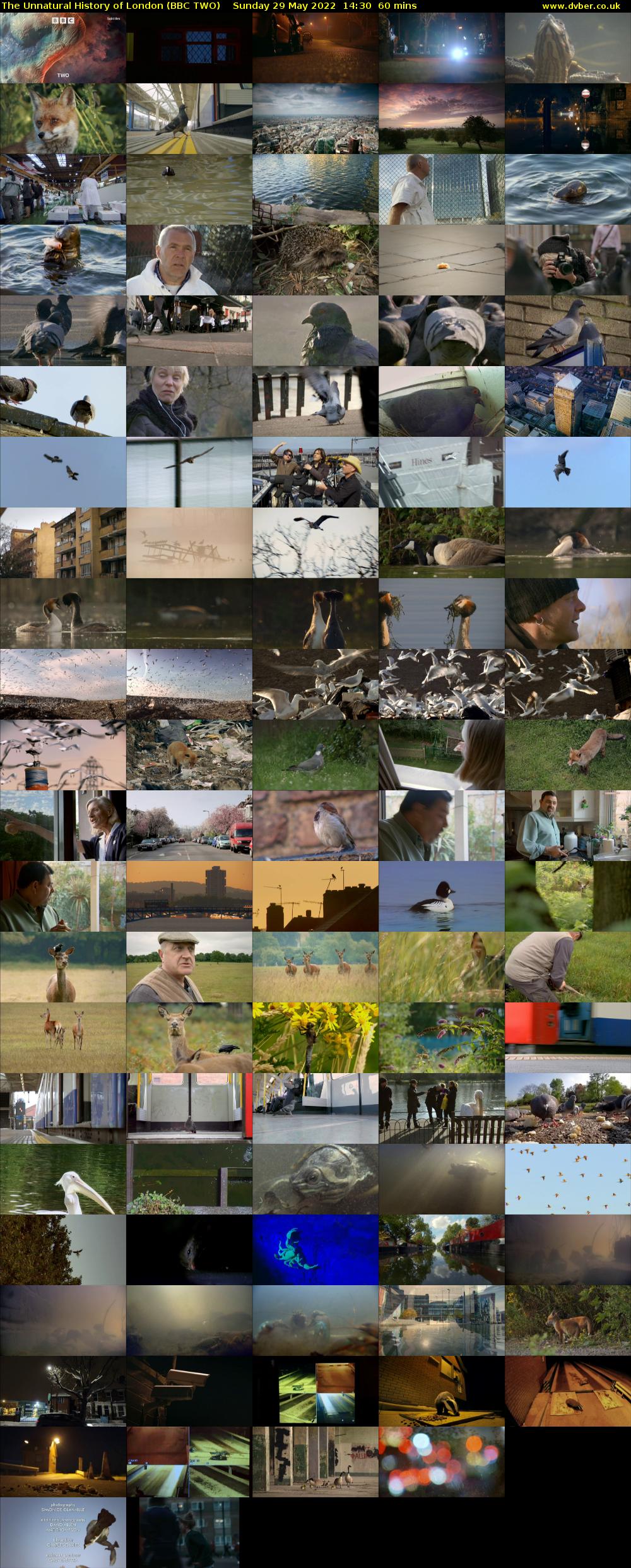 The Unnatural History of London (BBC TWO) Sunday 29 May 2022 14:30 - 15:30