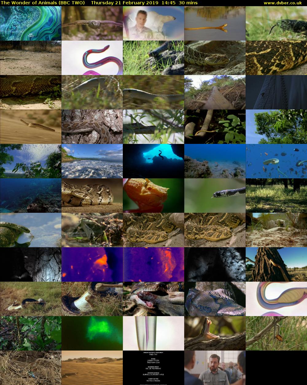 The Wonder of Animals (BBC TWO) Thursday 21 February 2019 14:45 - 15:15
