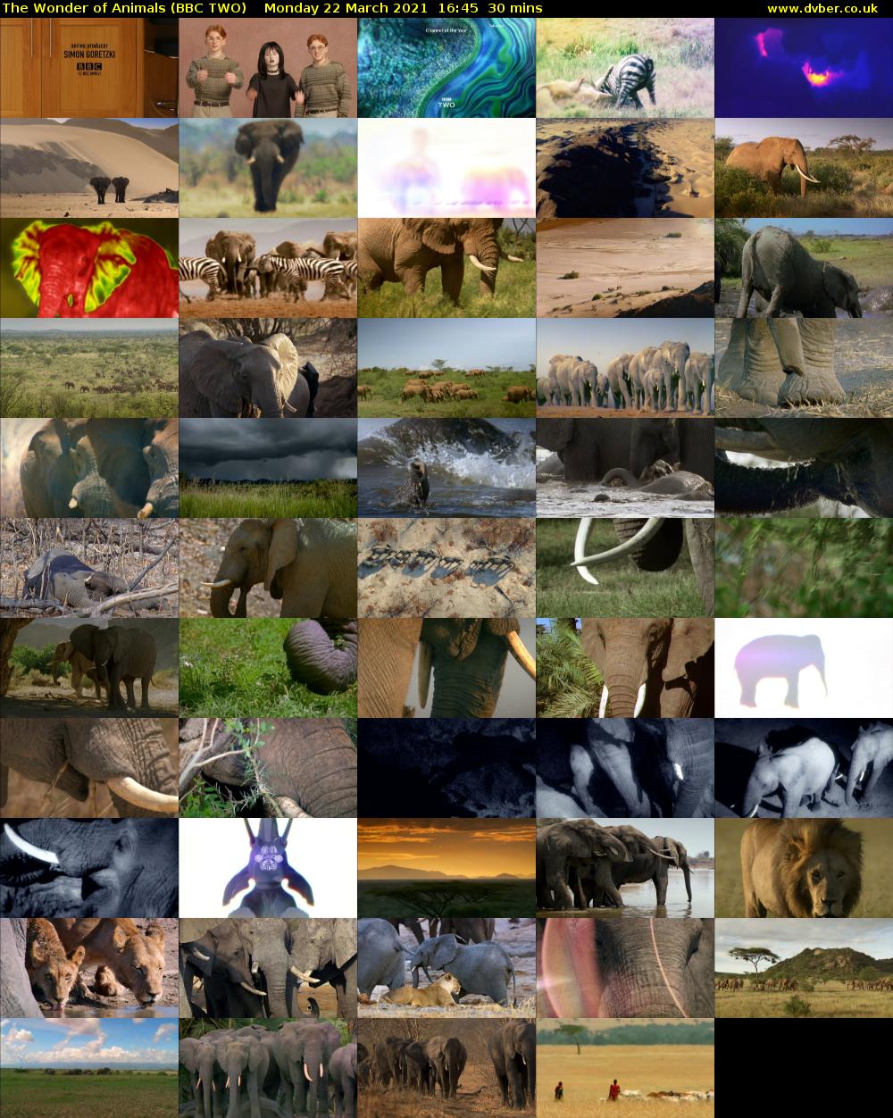 The Wonder of Animals (BBC TWO) Monday 22 March 2021 16:45 - 17:15