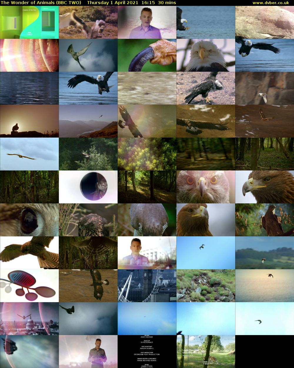 The Wonder of Animals (BBC TWO) Thursday 1 April 2021 16:15 - 16:45