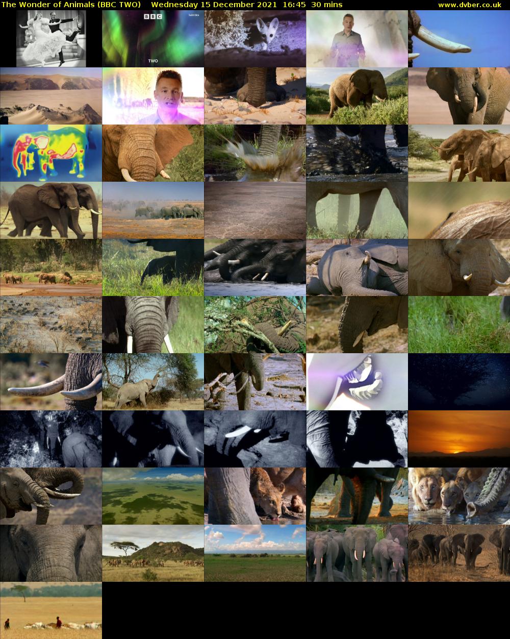 The Wonder of Animals (BBC TWO) Wednesday 15 December 2021 16:45 - 17:15