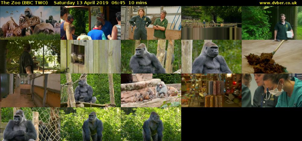 The Zoo (BBC TWO) Saturday 13 April 2019 06:45 - 06:55