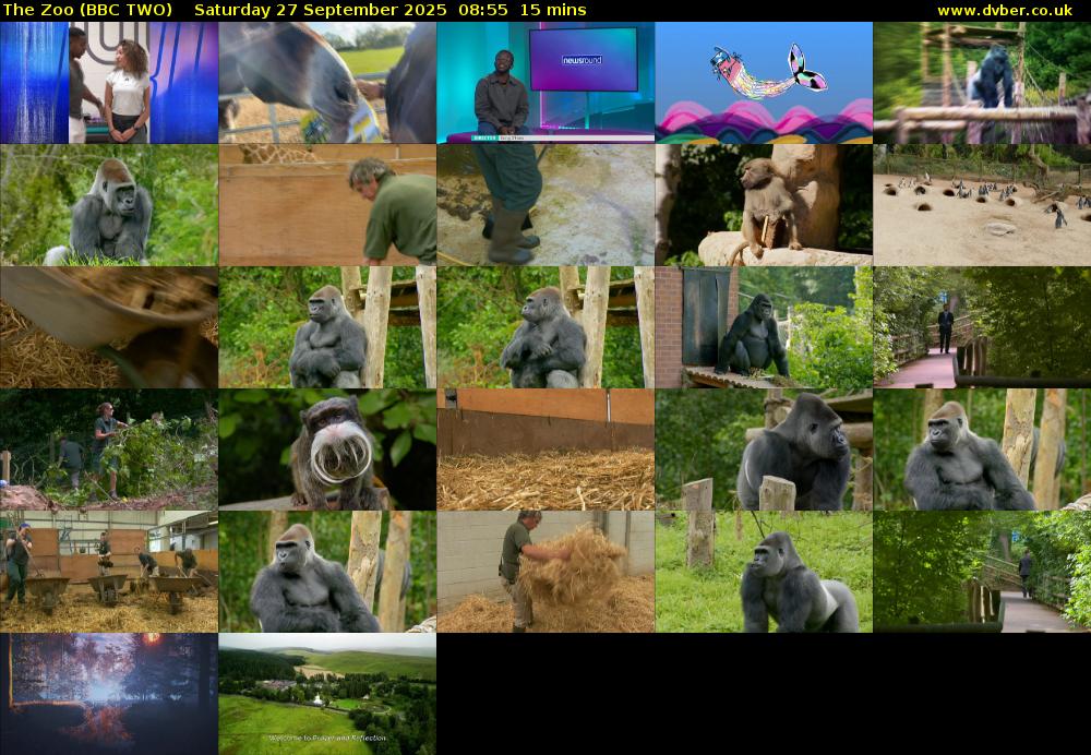 The Zoo (BBC TWO) Saturday 27 September 2025 08:55 - 09:10
