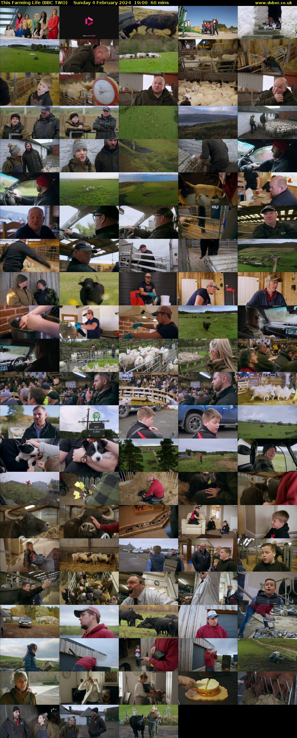 This Farming Life (BBC TWO) Sunday 4 February 2024 19:00 - 20:00