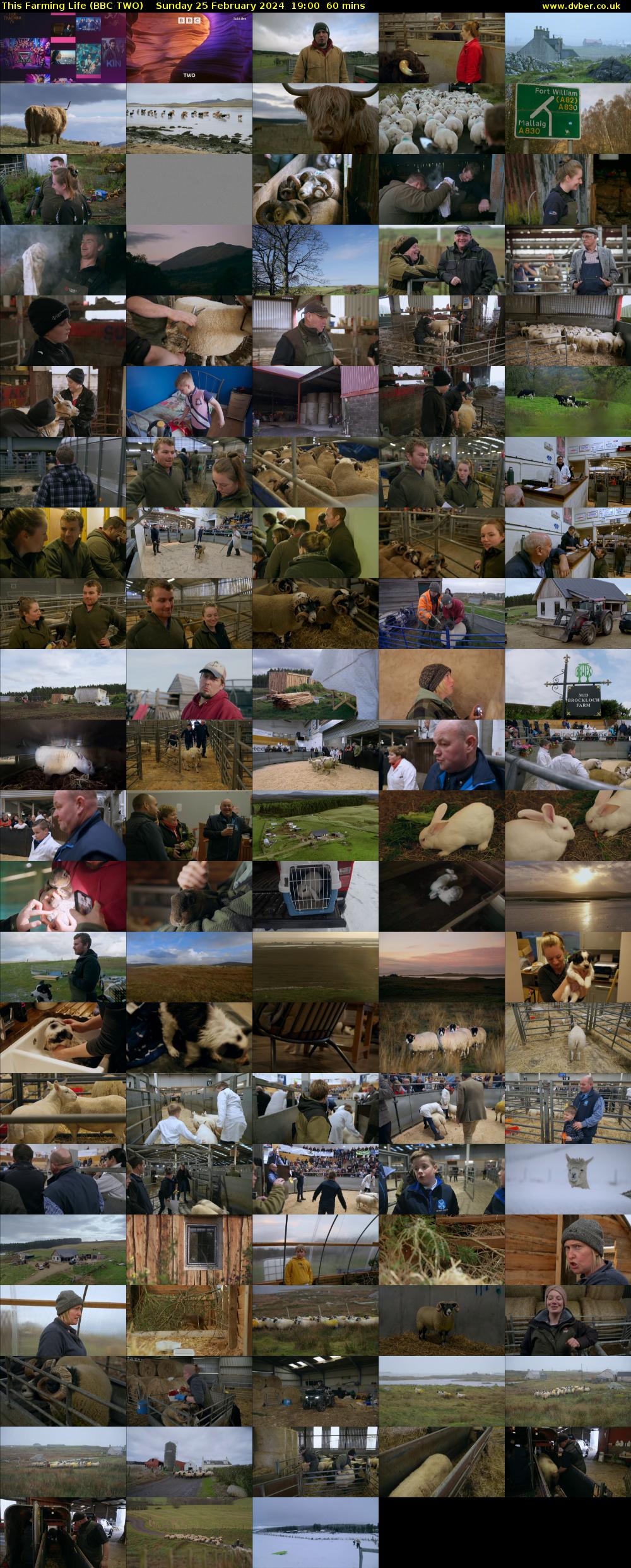 This Farming Life (BBC TWO) Sunday 25 February 2024 19:00 - 20:00