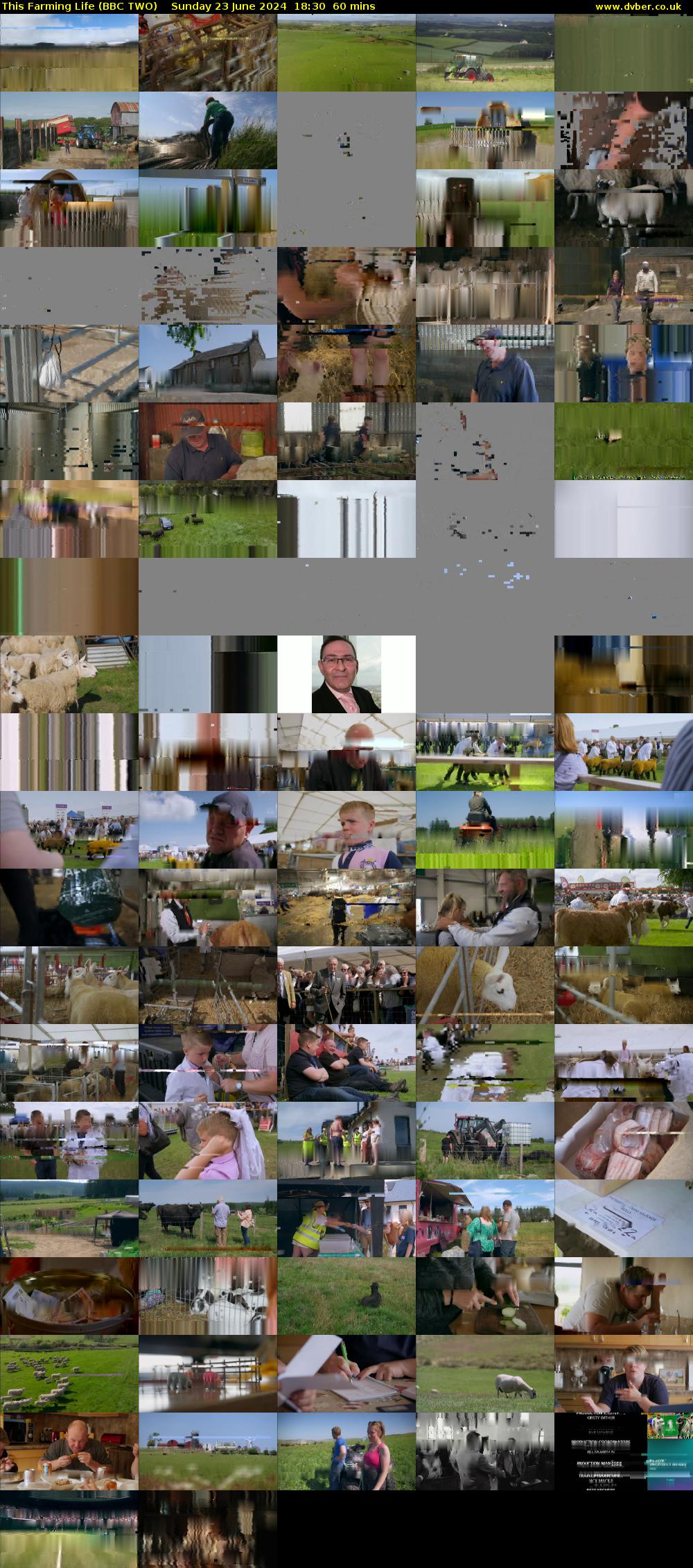 This Farming Life (BBC TWO) Sunday 23 June 2024 18:30 - 19:30