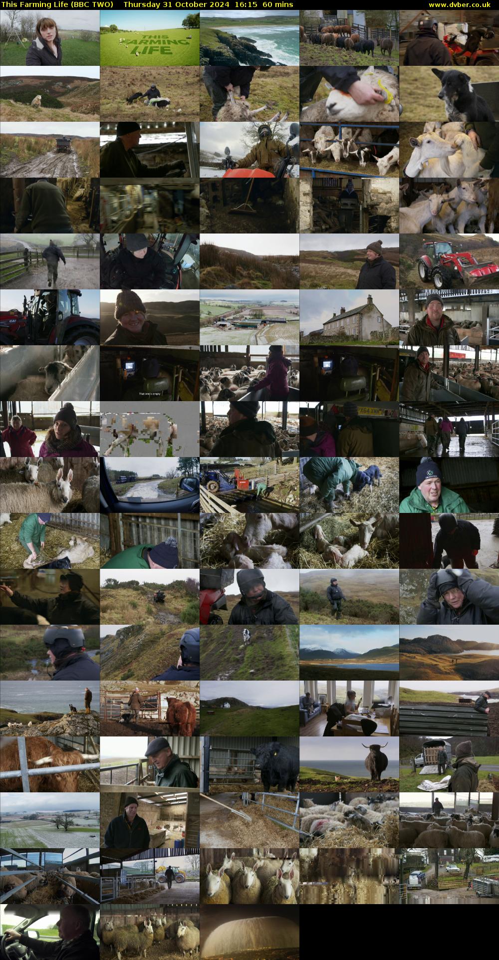 This Farming Life (BBC TWO) Thursday 31 October 2024 16:15 - 17:15