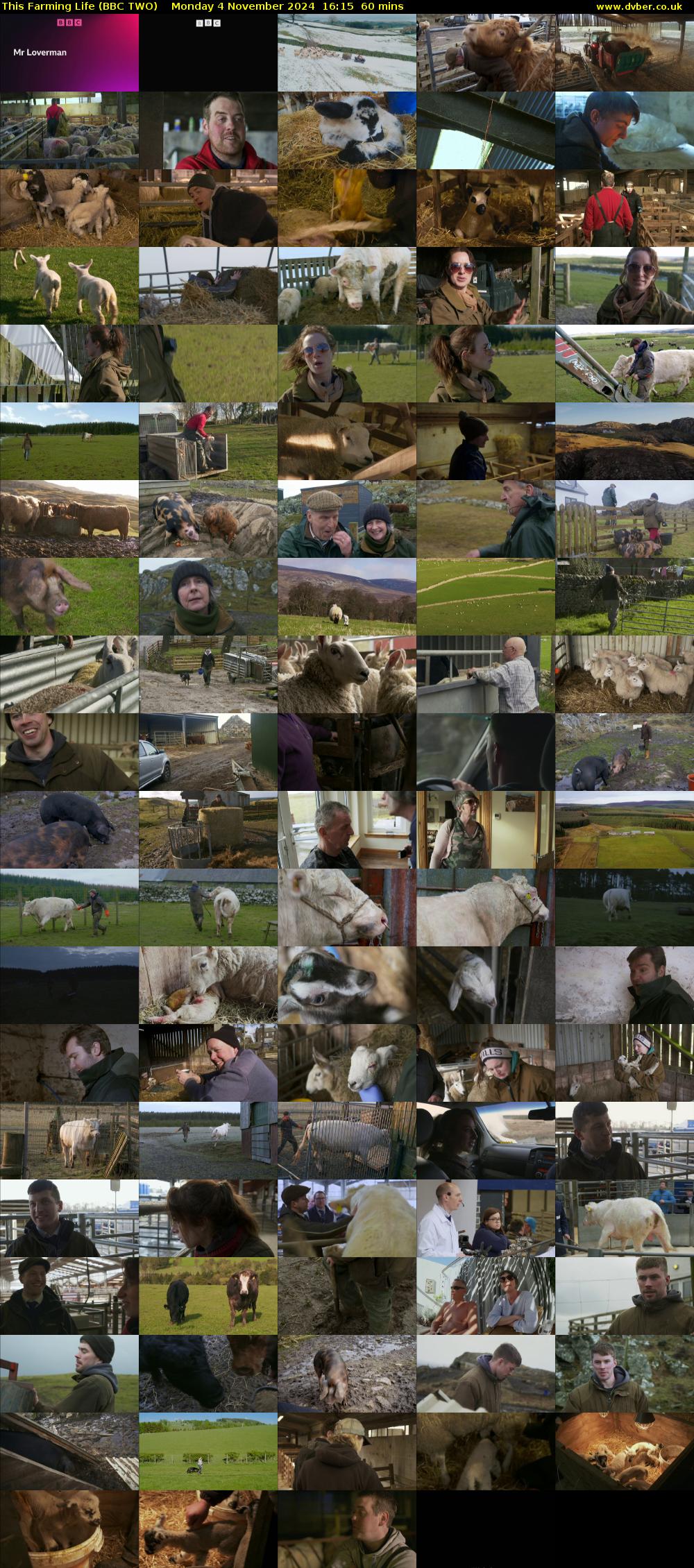 This Farming Life (BBC TWO) Monday 4 November 2024 16:15 - 17:15