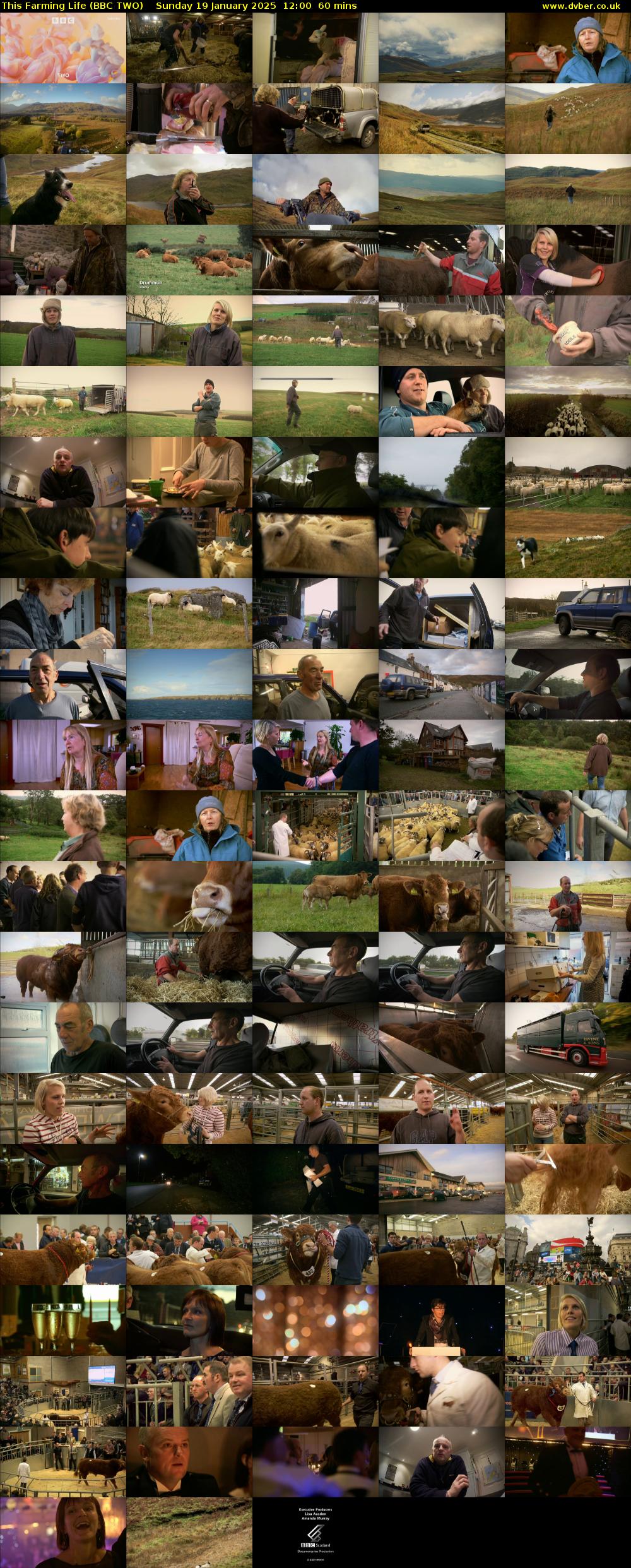 This Farming Life (BBC TWO) Sunday 19 January 2025 12:00 - 13:00