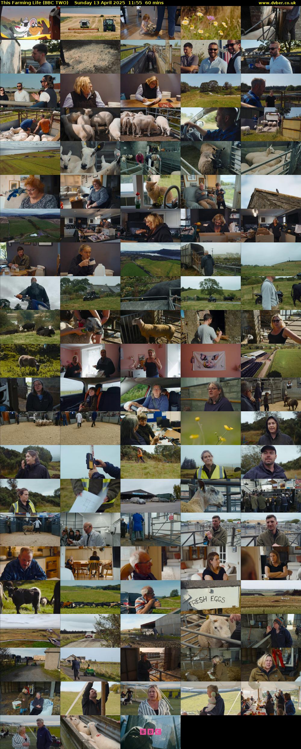 This Farming Life (BBC TWO) Sunday 13 April 2025 11:55 - 12:55