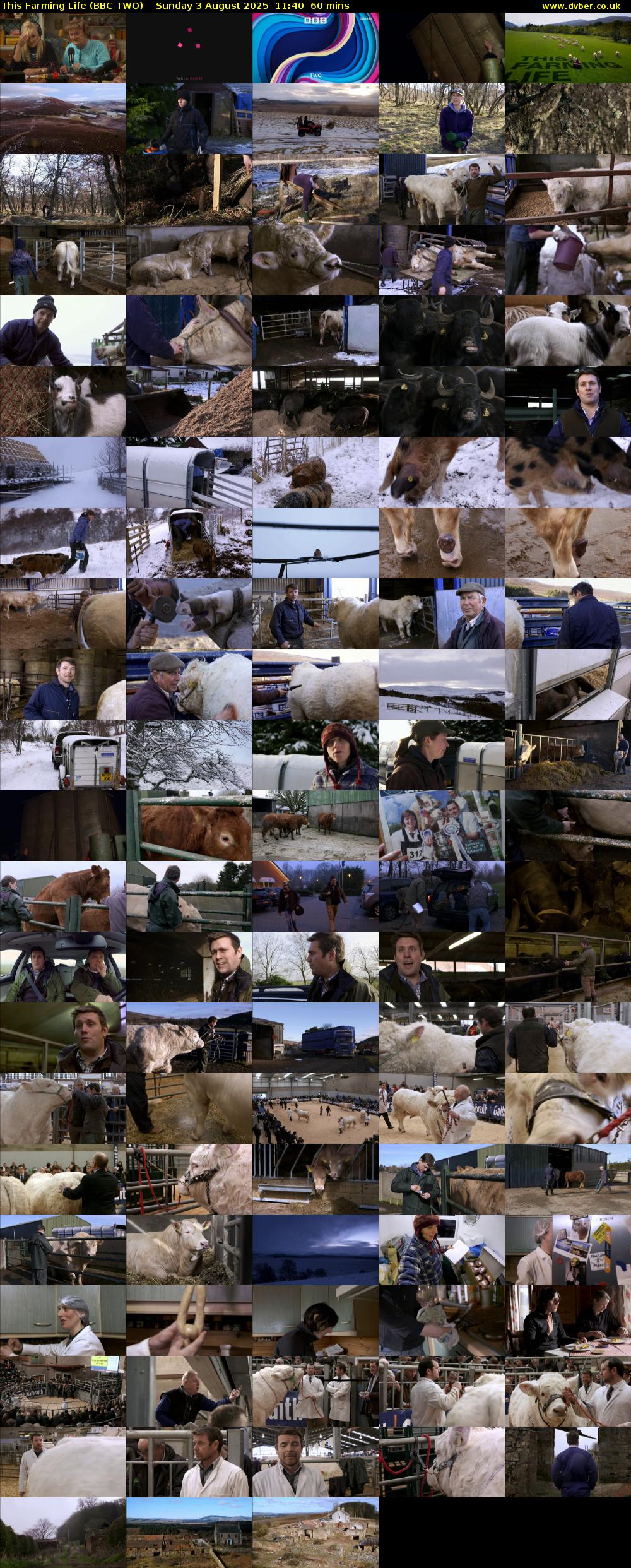 This Farming Life (BBC TWO) Sunday 3 August 2025 11:40 - 12:40