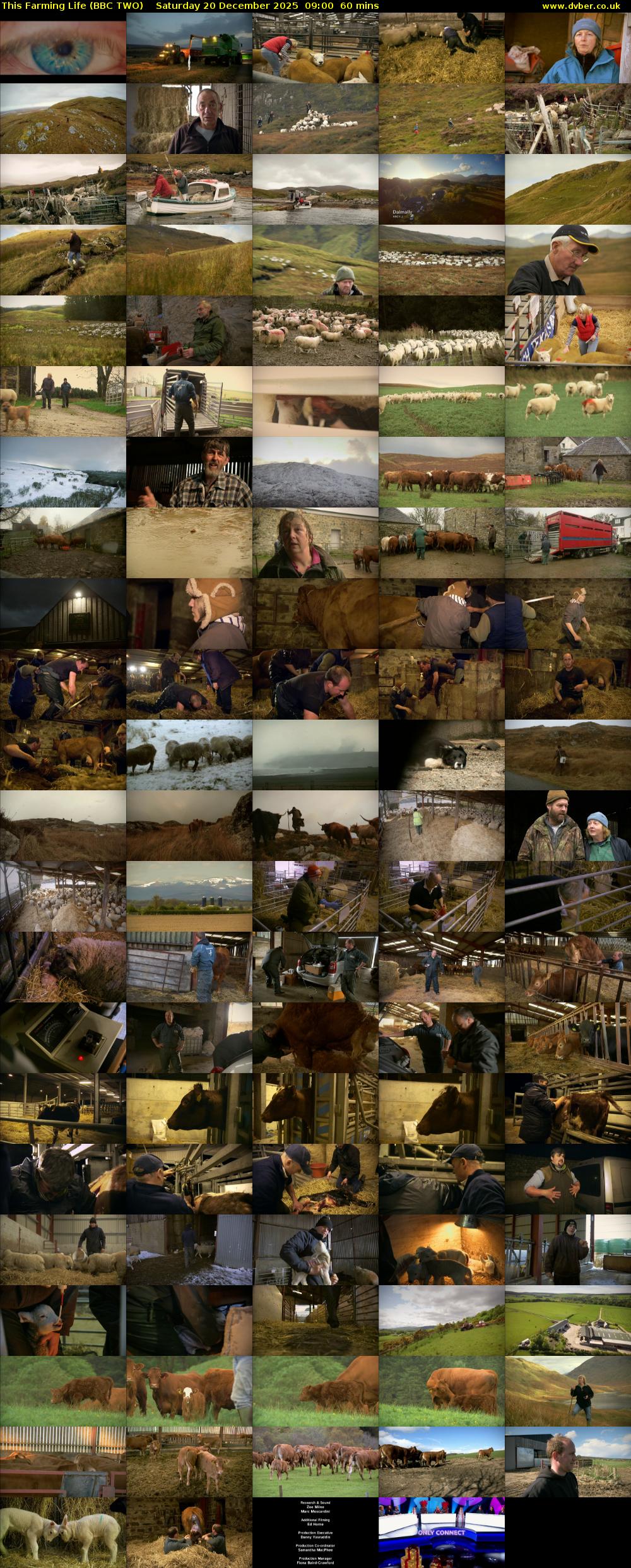 This Farming Life (BBC TWO) Saturday 20 December 2025 09:00 - 10:00