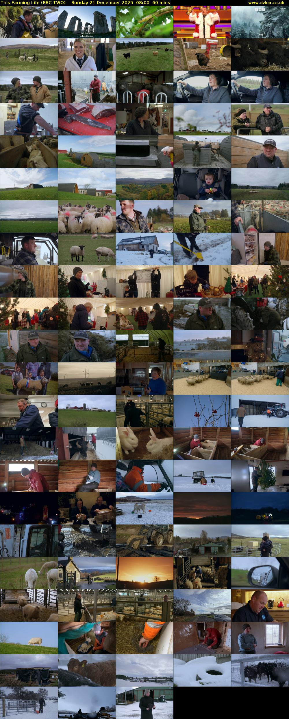 This Farming Life (BBC TWO) Sunday 21 December 2025 08:00 - 09:00