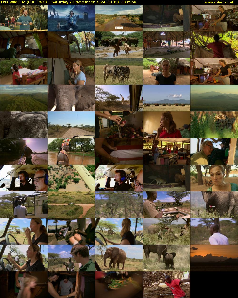 This Wild Life (BBC TWO) Saturday 23 November 2024 11:00 - 11:30