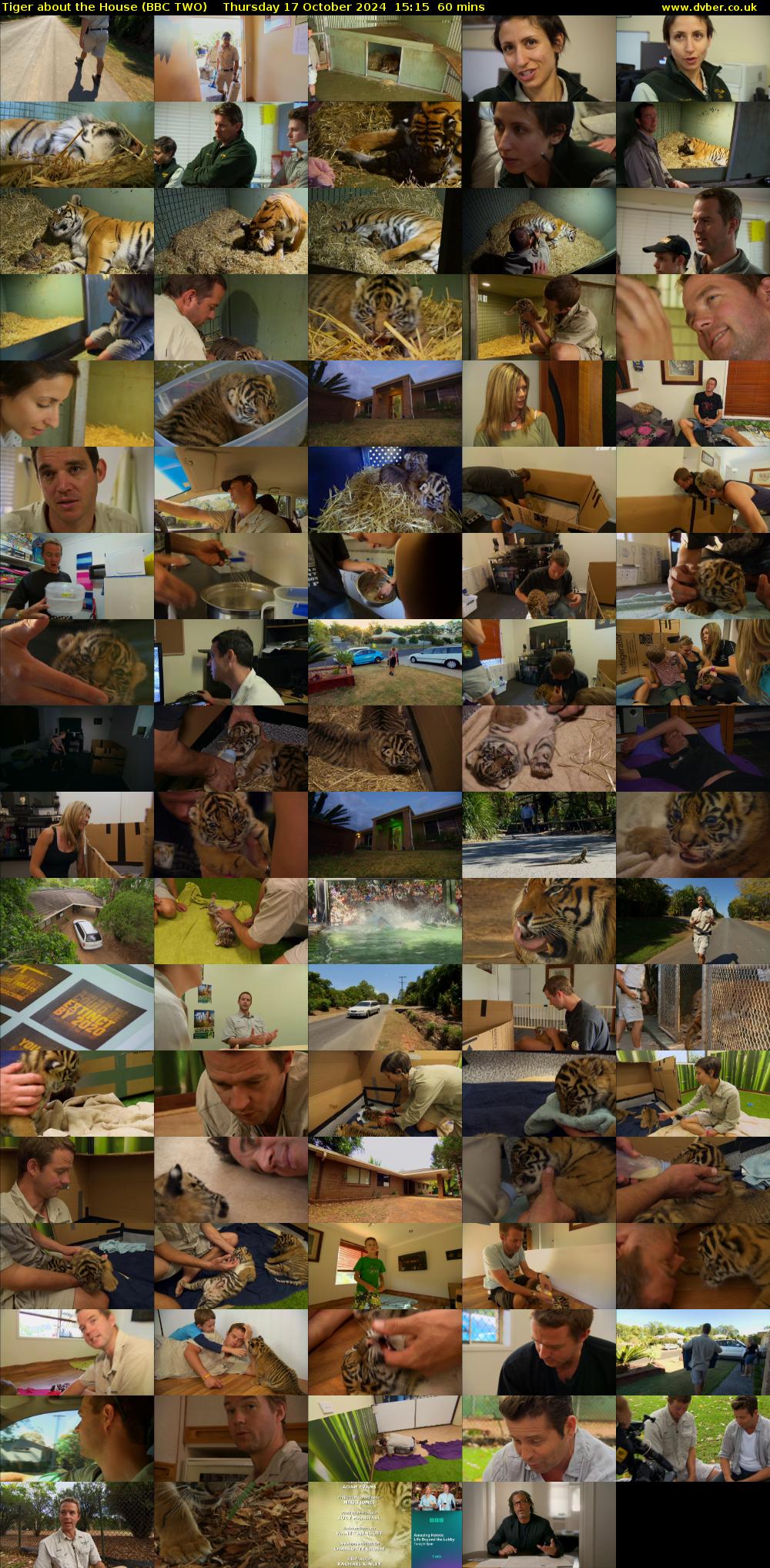 Tiger About The House (BBC TWO) Thursday 17 October 2024 15:15 - 16:15