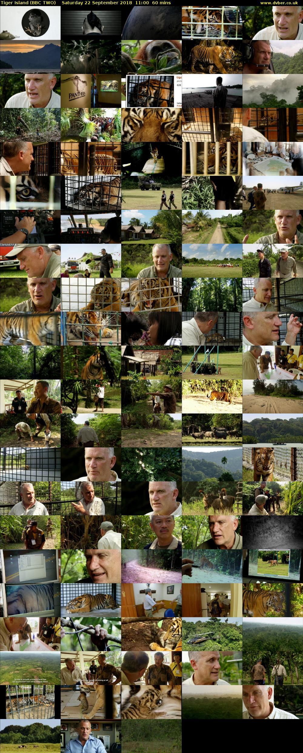 Tiger Island (BBC TWO) Saturday 22 September 2018 11:00 - 12:00