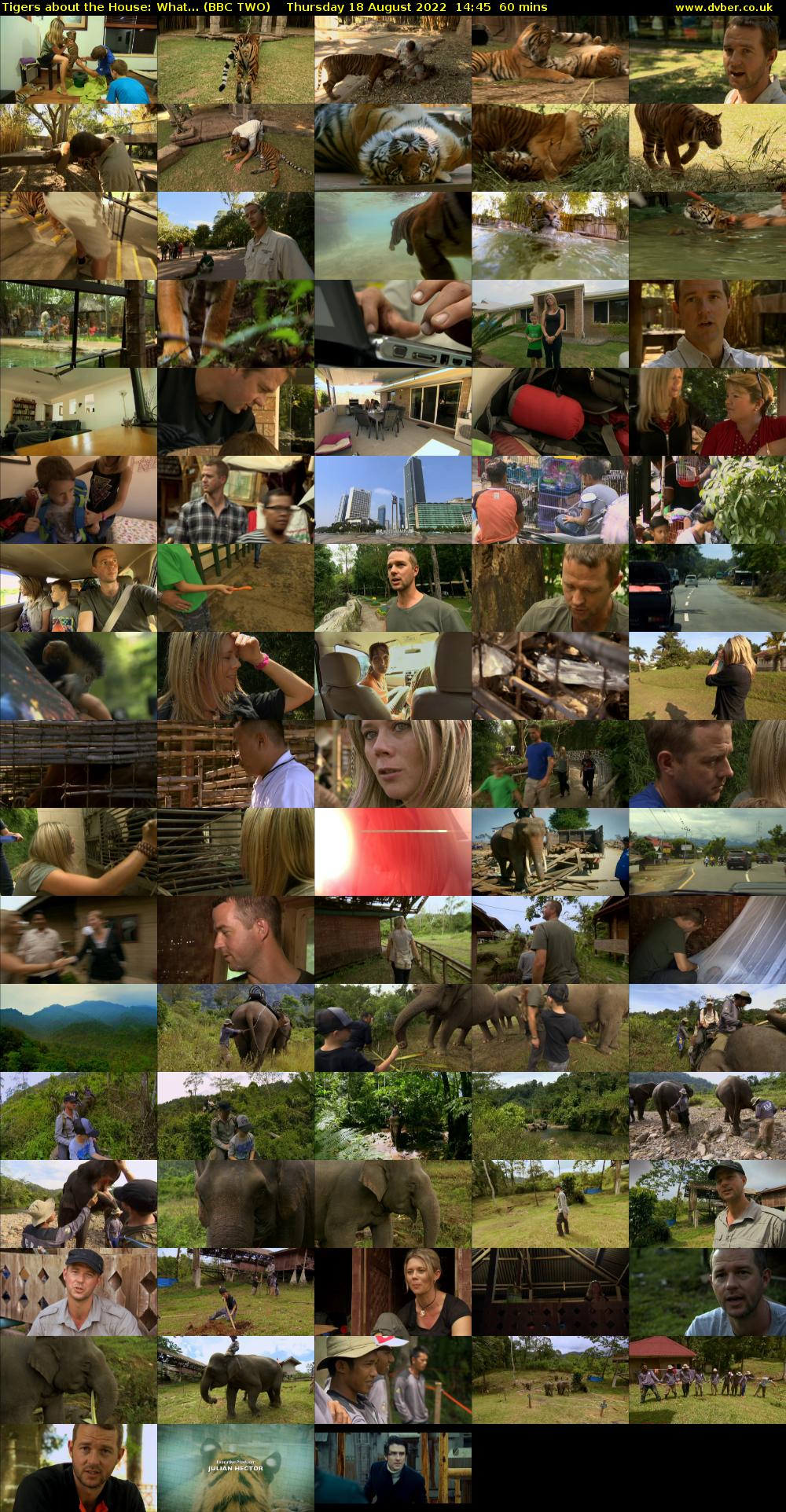 Tigers About The House: What... (BBC TWO) Thursday 18 August 2022 14:45 - 15:45