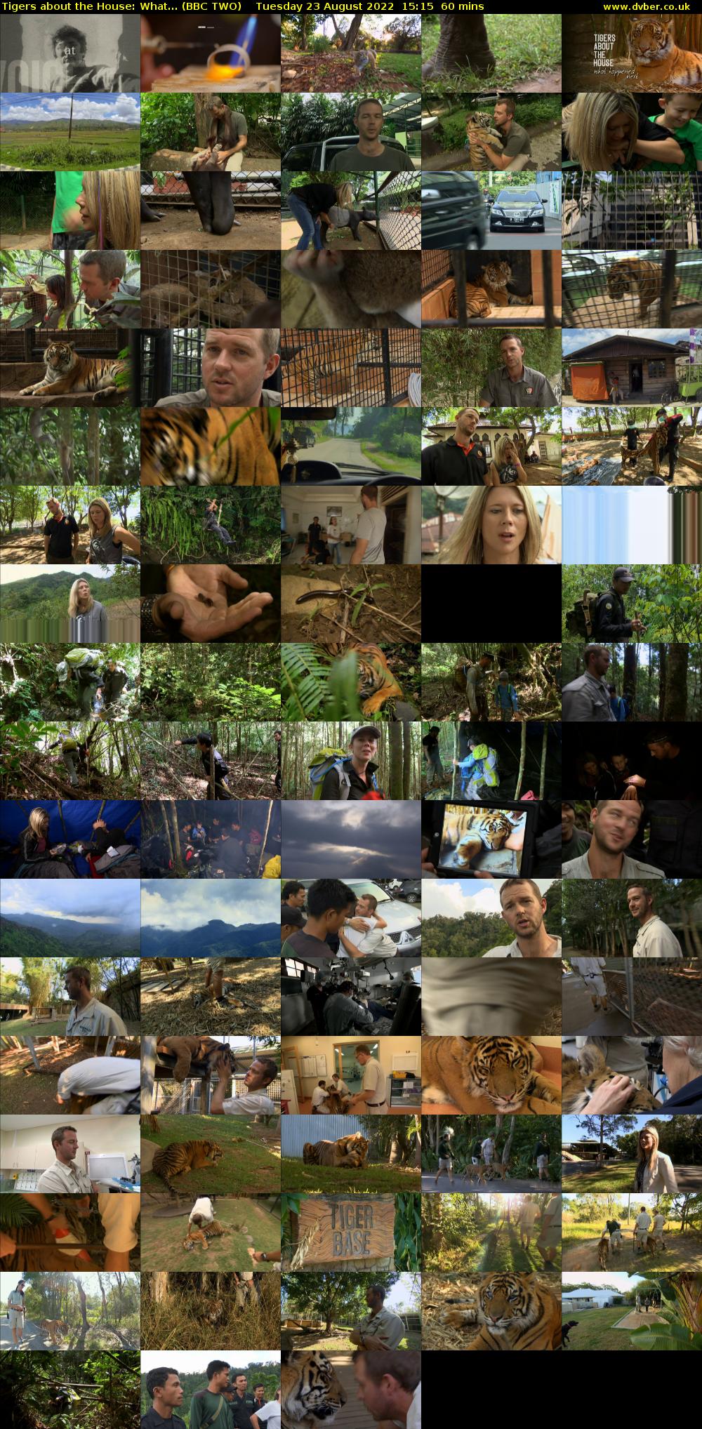 Tigers About The House: What... (BBC TWO) Tuesday 23 August 2022 15:15 - 16:15
