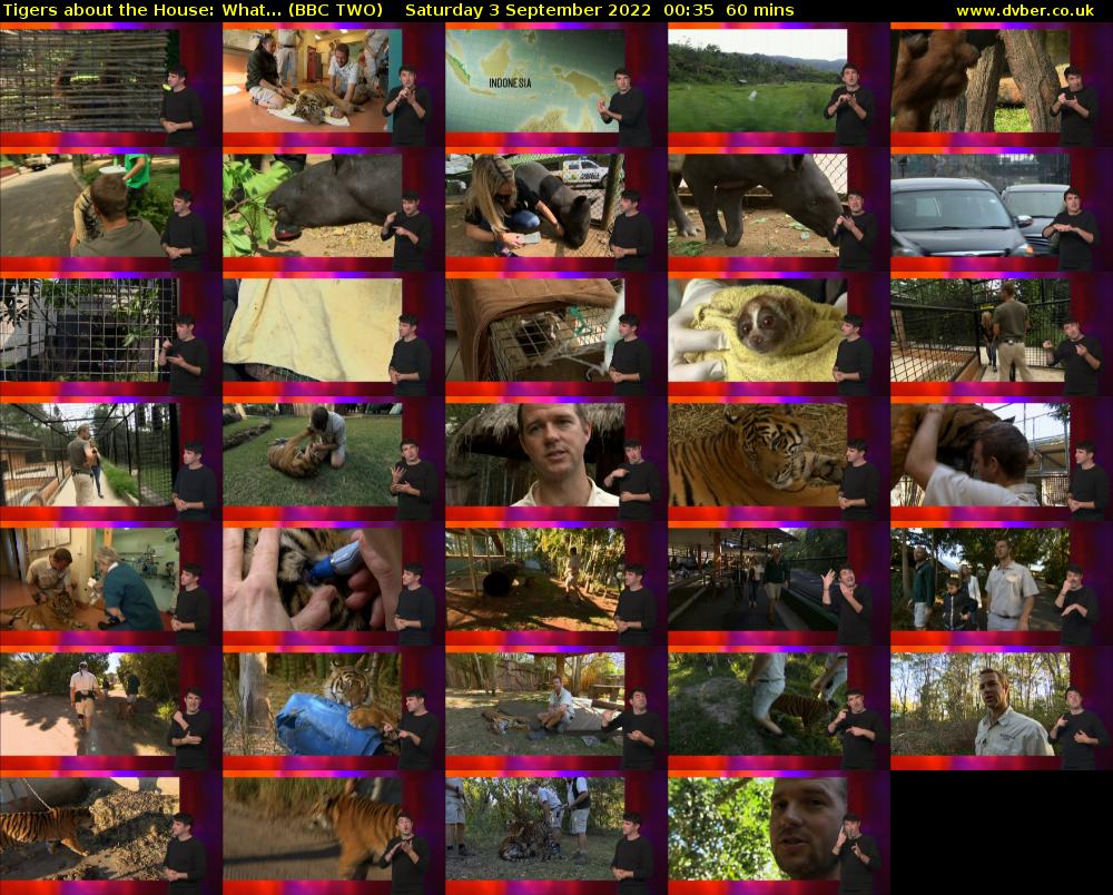 Tigers About The House: What... (BBC TWO) Saturday 3 September 2022 00:35 - 01:35