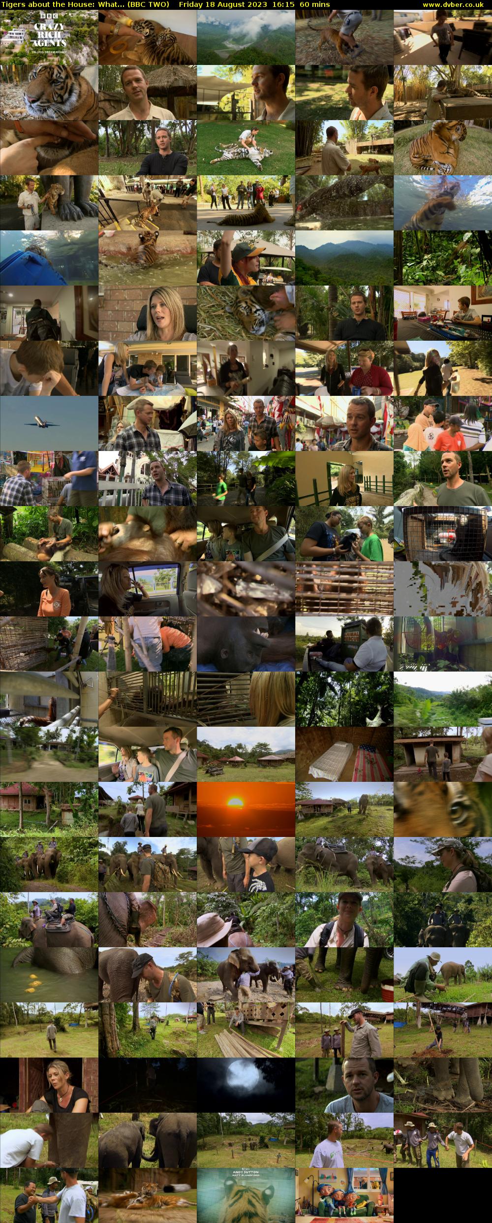Tigers About The House: What... (BBC TWO) Friday 18 August 2023 16:15 - 17:15